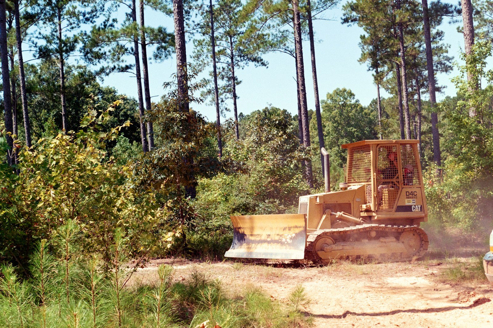 Tree Service Lloyd FL - Tallahassee Tree Service Land clearing and large-tract tree work on rural acreage near Lloyd in Jefferson County FL