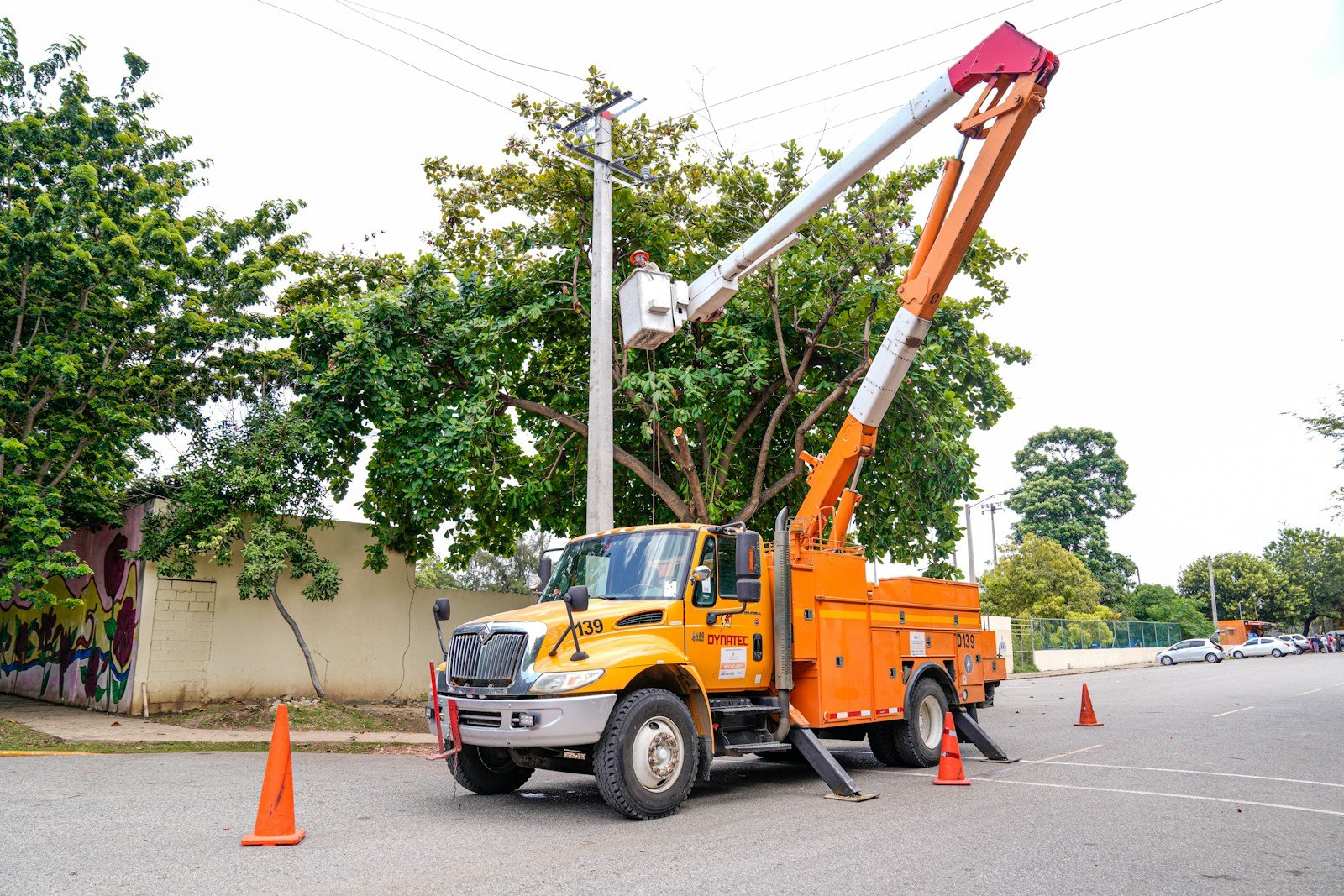 Bucket truck and crane staged on a Tallahassee street for a large tree removal near a house