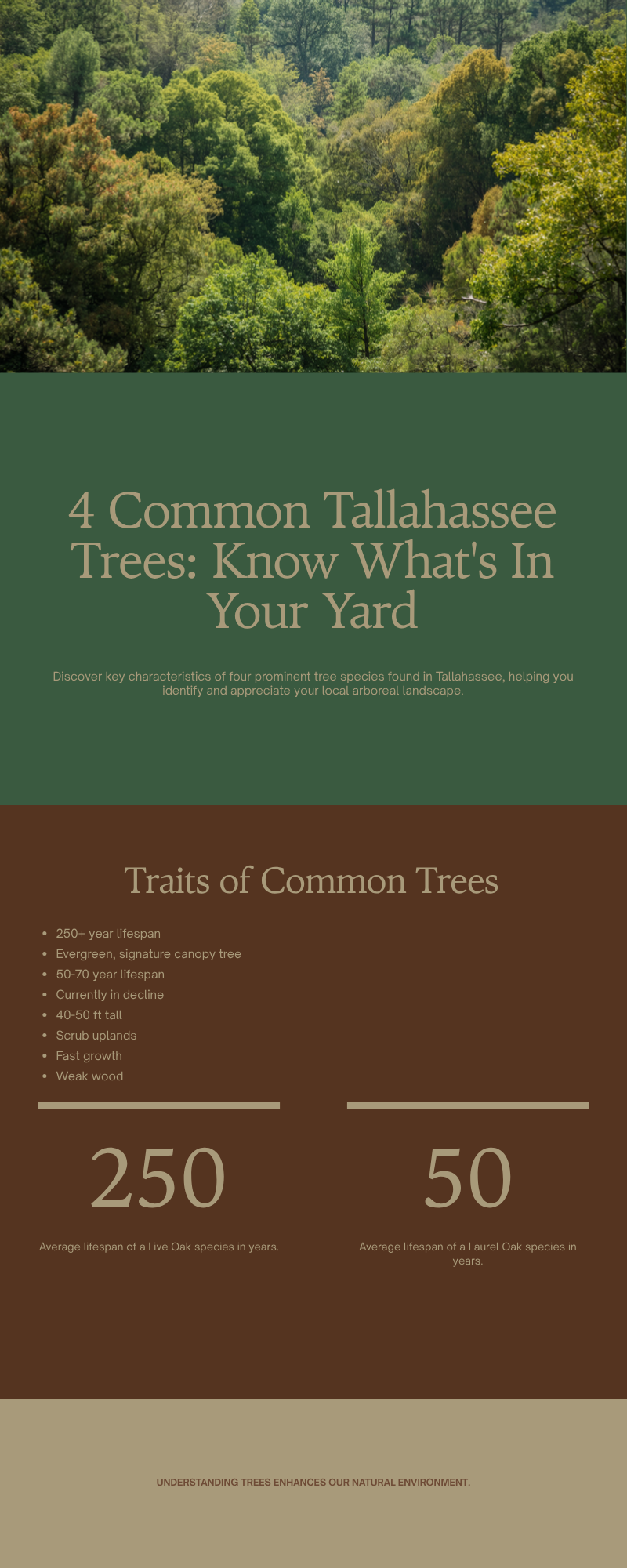 Red Hills tree species identification infographic showing live oak, laurel oak, water oak and pine characteristics near Thomasville GA