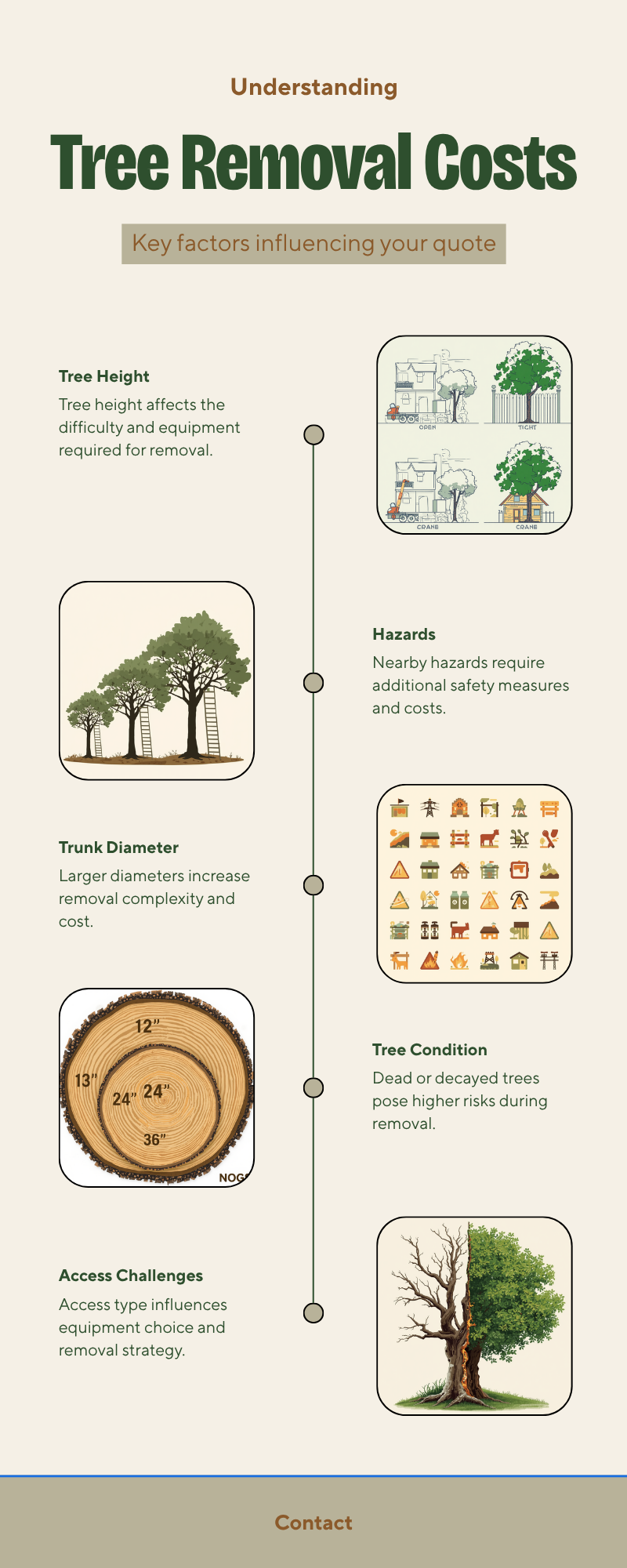 Tallahassee Tree Service Cost 2026 — Complete Pricing Guide - Tallahassee Tree Service Tallahassee tree removal cost factors infographic showing height, trunk diameter, hazards, access and condition