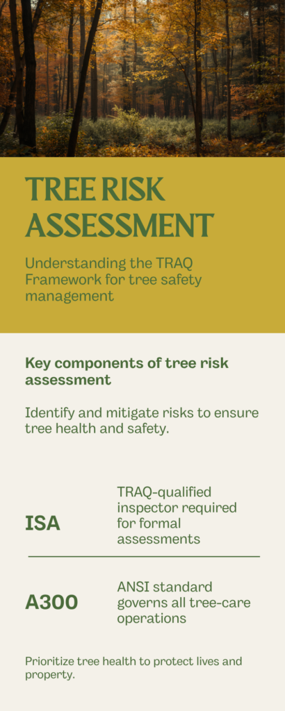 Pre-Hurricane Tree Inspection in Tallahassee: The May Window - Tallahassee Tree Service Tallahassee tree risk assessment TRAQ framework infographic — ISA-qualified inspector requirement and ANSI A300 standard reference