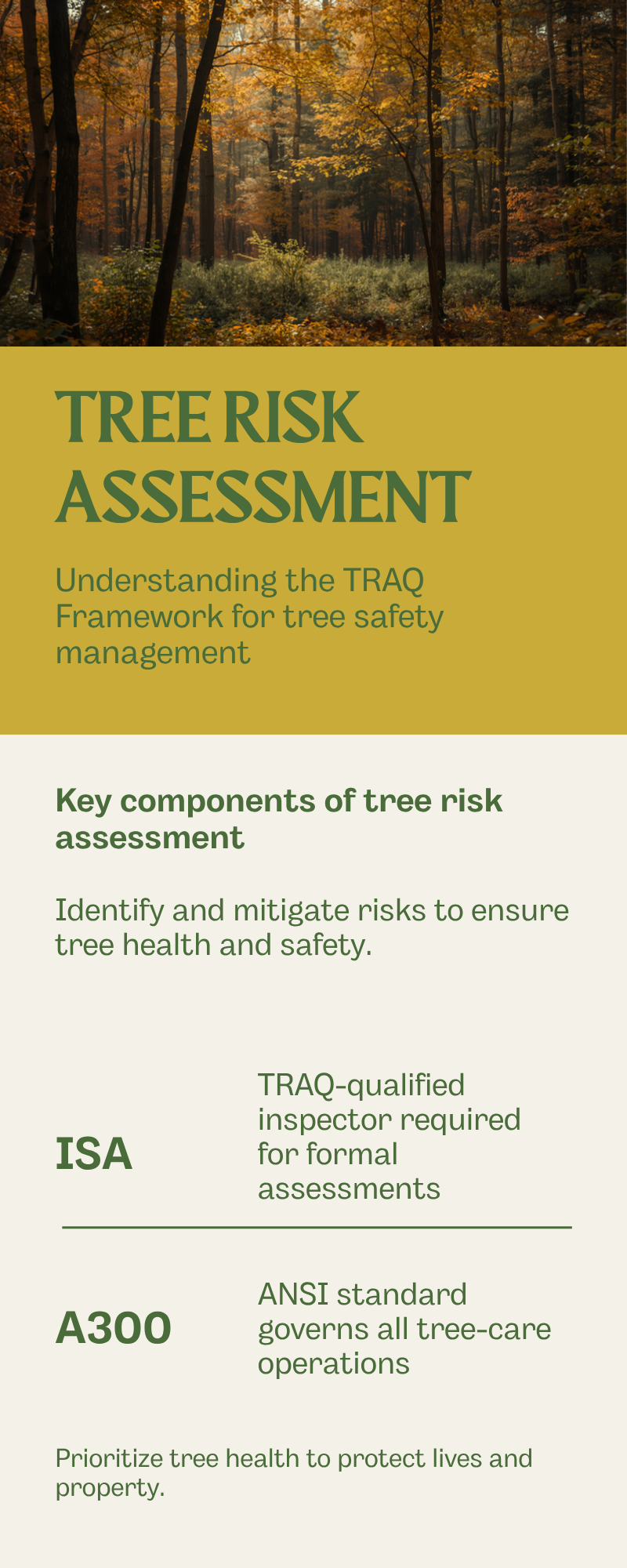 Leaning tree assessment Tallahassee - TRAQ tree risk assessment framework used by ISA-qualified inspectors