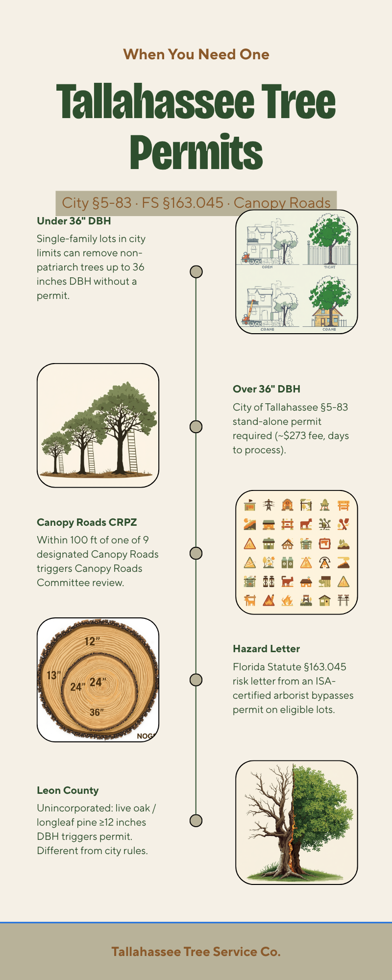 Free Tree Removal Tallahassee - Tallahassee Tree Service Tallahassee tree permit framework infographic covering City section 5-83, Canopy Roads and Leon County rules