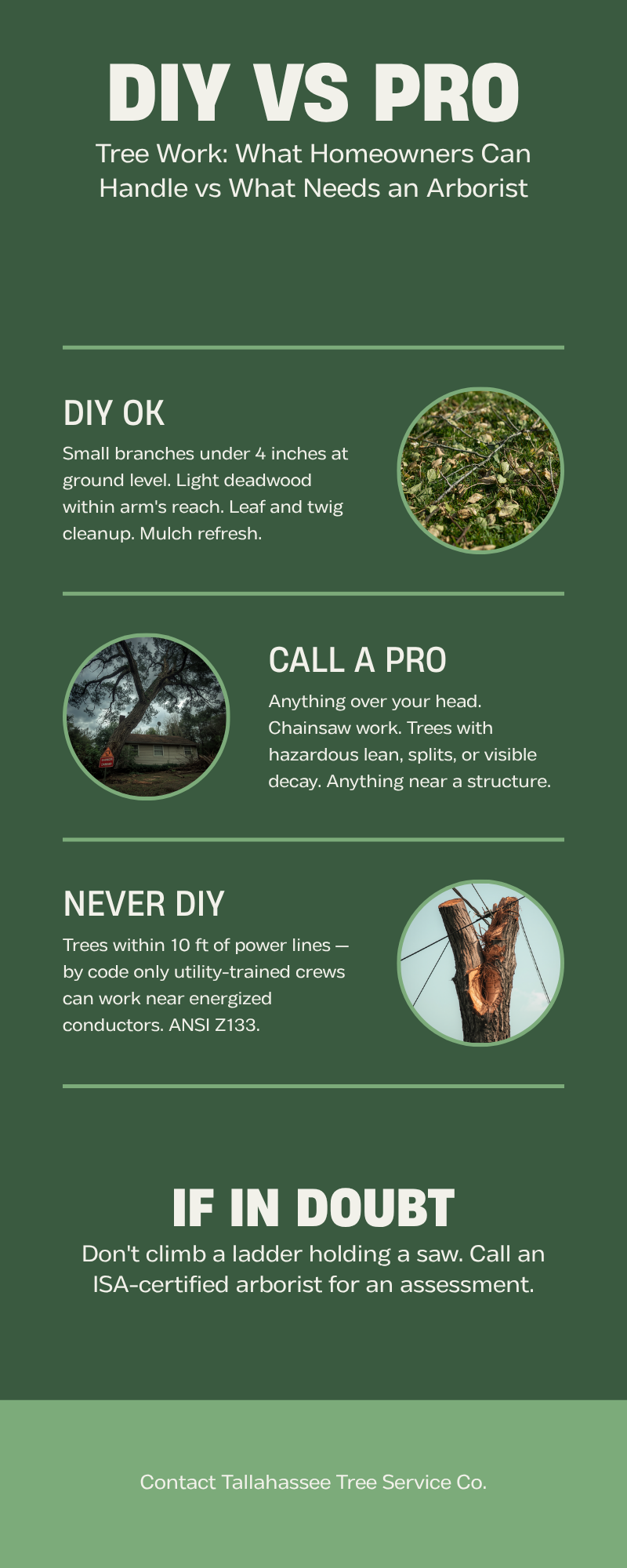 Tallahassee Tree Service Cost 2026 — Complete Pricing Guide - Tallahassee Tree Service DIY versus professional tree work infographic for Tallahassee homeowners showing what is safe to handle