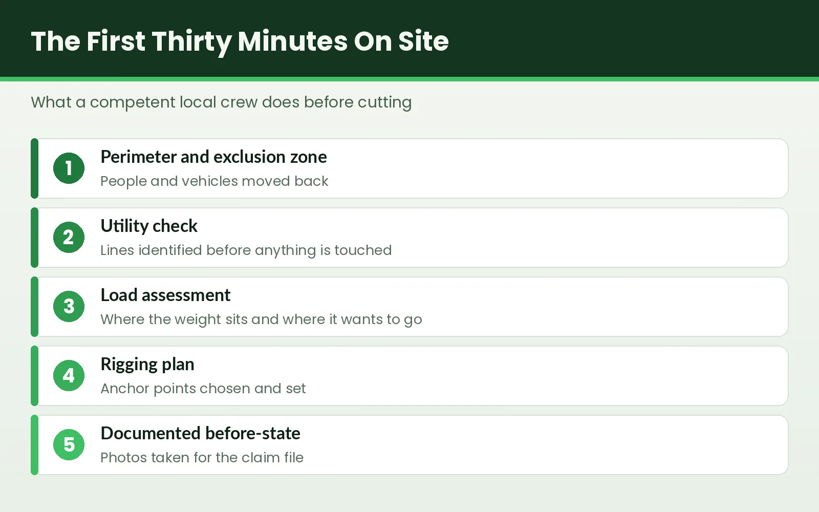 24/7 Emergency Tree Service in Tallahassee, FL - Tallahassee Tree Service Five-step graphic of the first thirty minutes at a Tallahassee emergency tree call