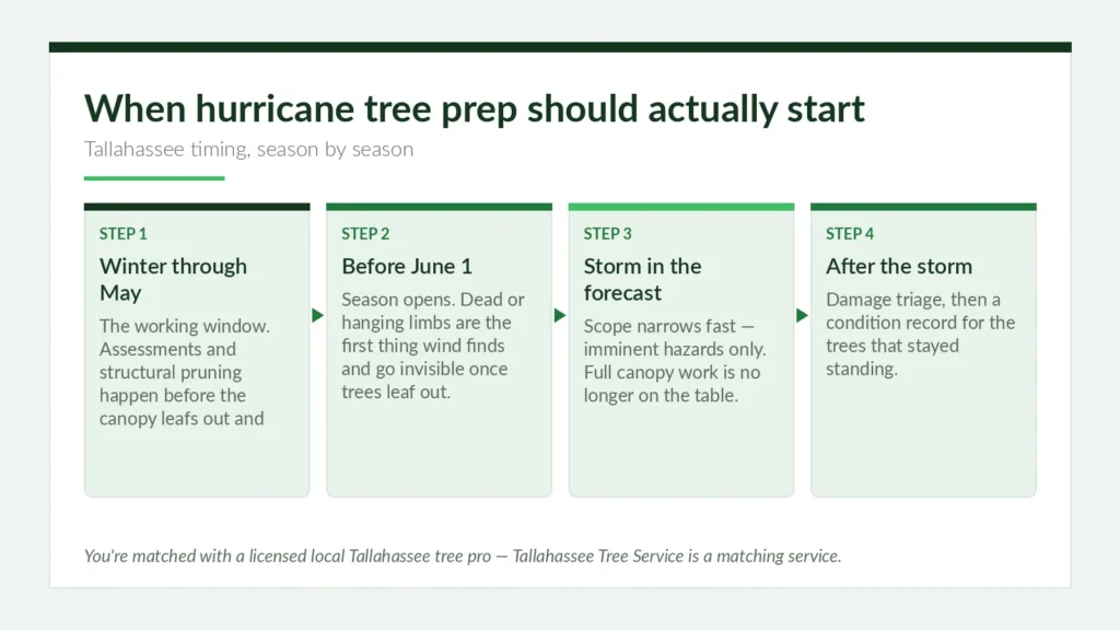 Hurricane Season Tree Prep in Tallahassee - Tallahassee Tree Service Tallahassee hurricane season tree prep timing calendar showing the winter-to-May working window and what changes once a storm is forecast