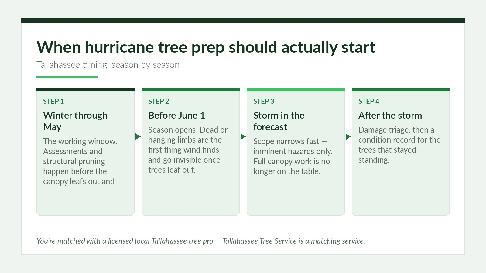 Hurricane Season Tree Prep in Tallahassee - Tallahassee Tree Service Tallahassee hurricane season tree prep timing calendar showing the winter-to-May working window and what changes once a storm is forecast