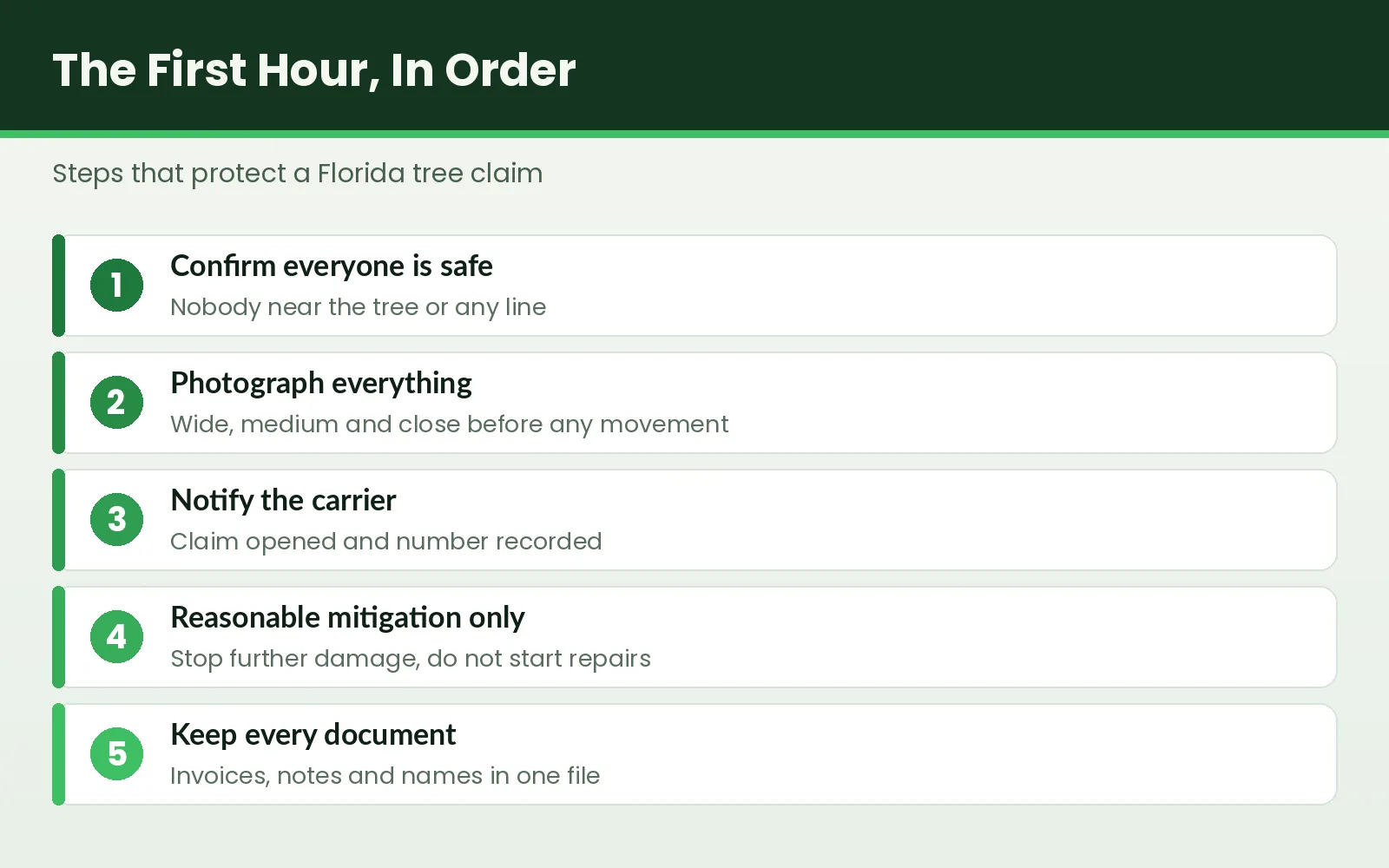 Ordered checklist graphic for the first hour of a Tallahassee insurance tree removal claim