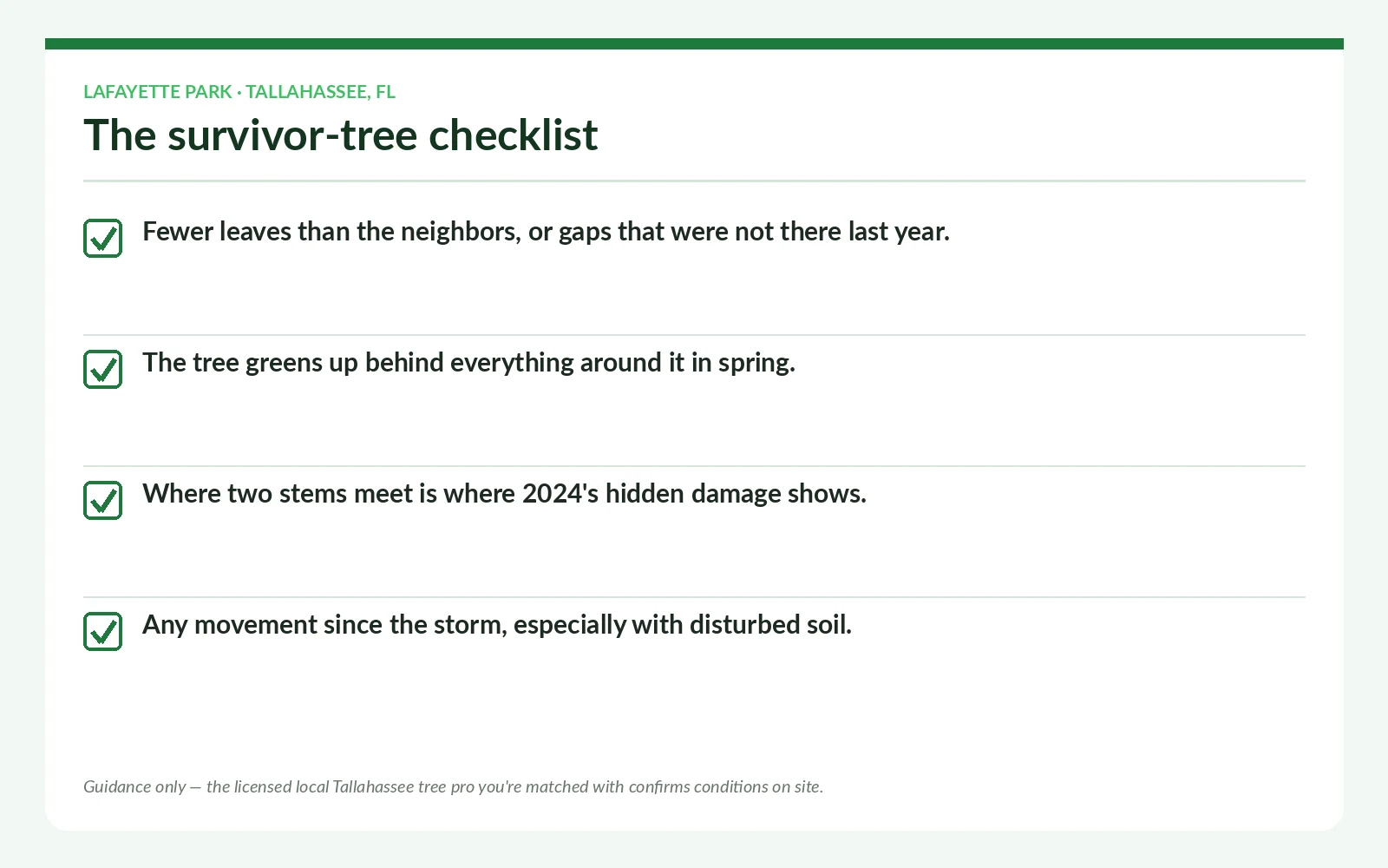 Tree Service Lafayette Park Tallahassee - Tallahassee Tree Service Storm-survivor tree checklist for Lafayette Park in Tallahassee, Florida