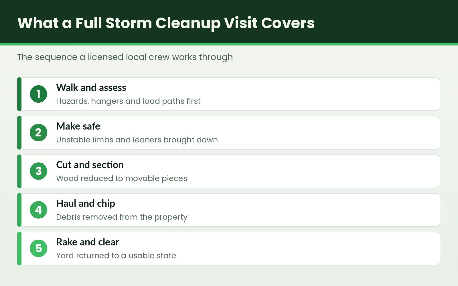 Storm Cleanup Tallahassee - Tallahassee Tree Service Five-stage graphic showing what a storm cleanup visit covers in Tallahassee, Florida