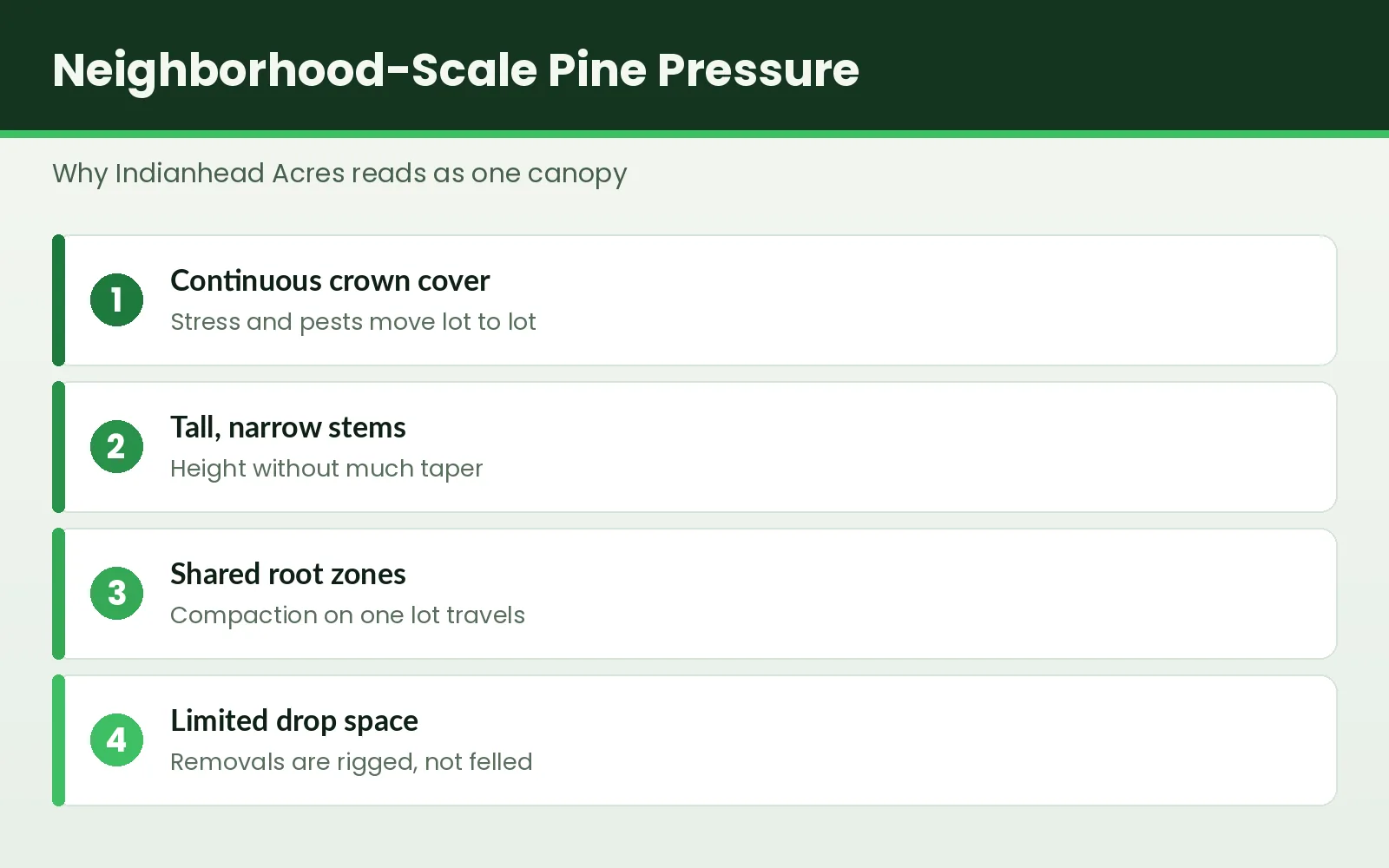 Graphic explaining neighborhood-scale pine canopy pressure in Indianhead Acres, Tallahassee