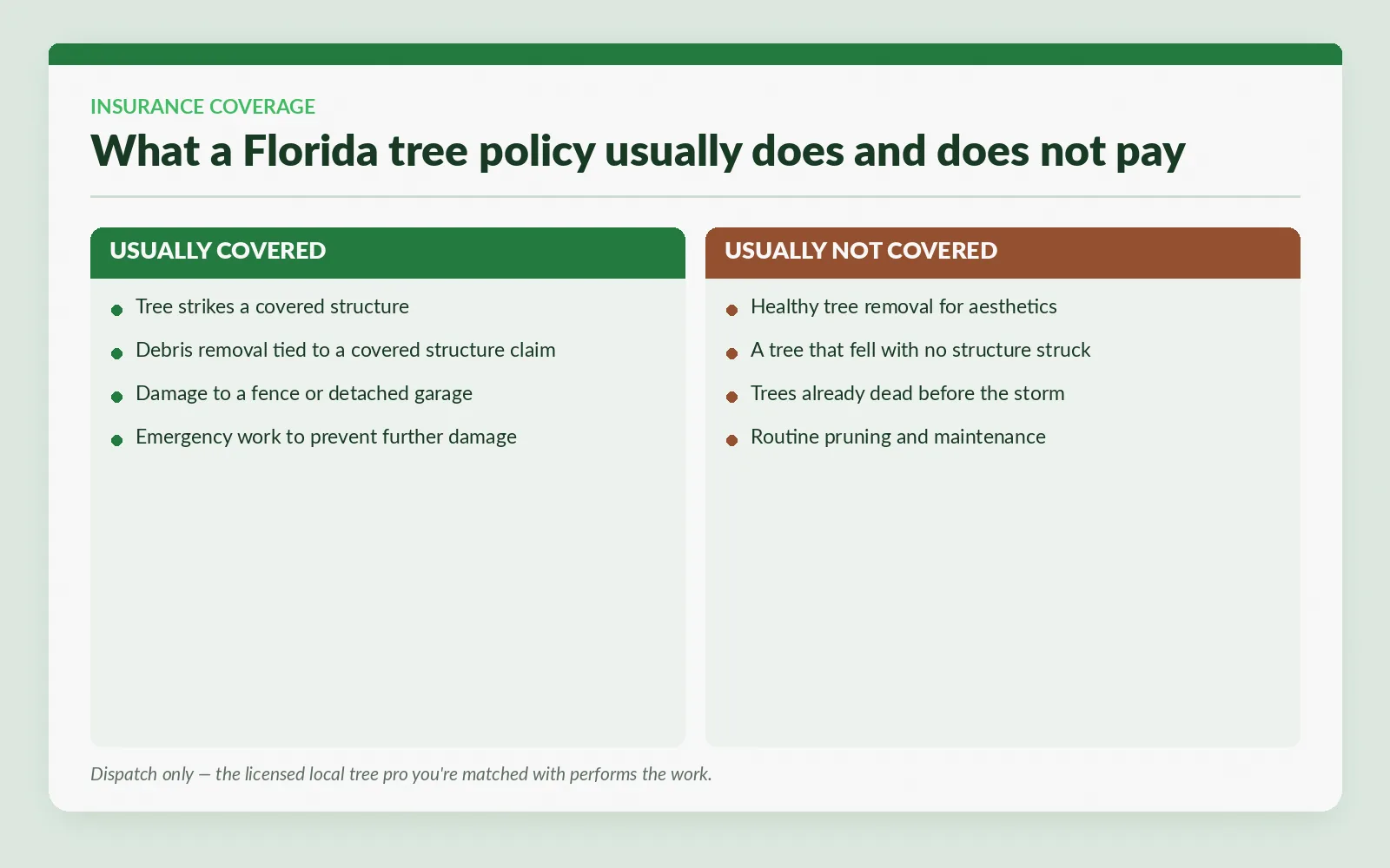 Tree Service Insurance Coverage Tallahassee — What Yours Pays For - Tallahassee Tree Service Comparison of what a Florida homeowner tree policy usually covers and does not cover in Tallahassee