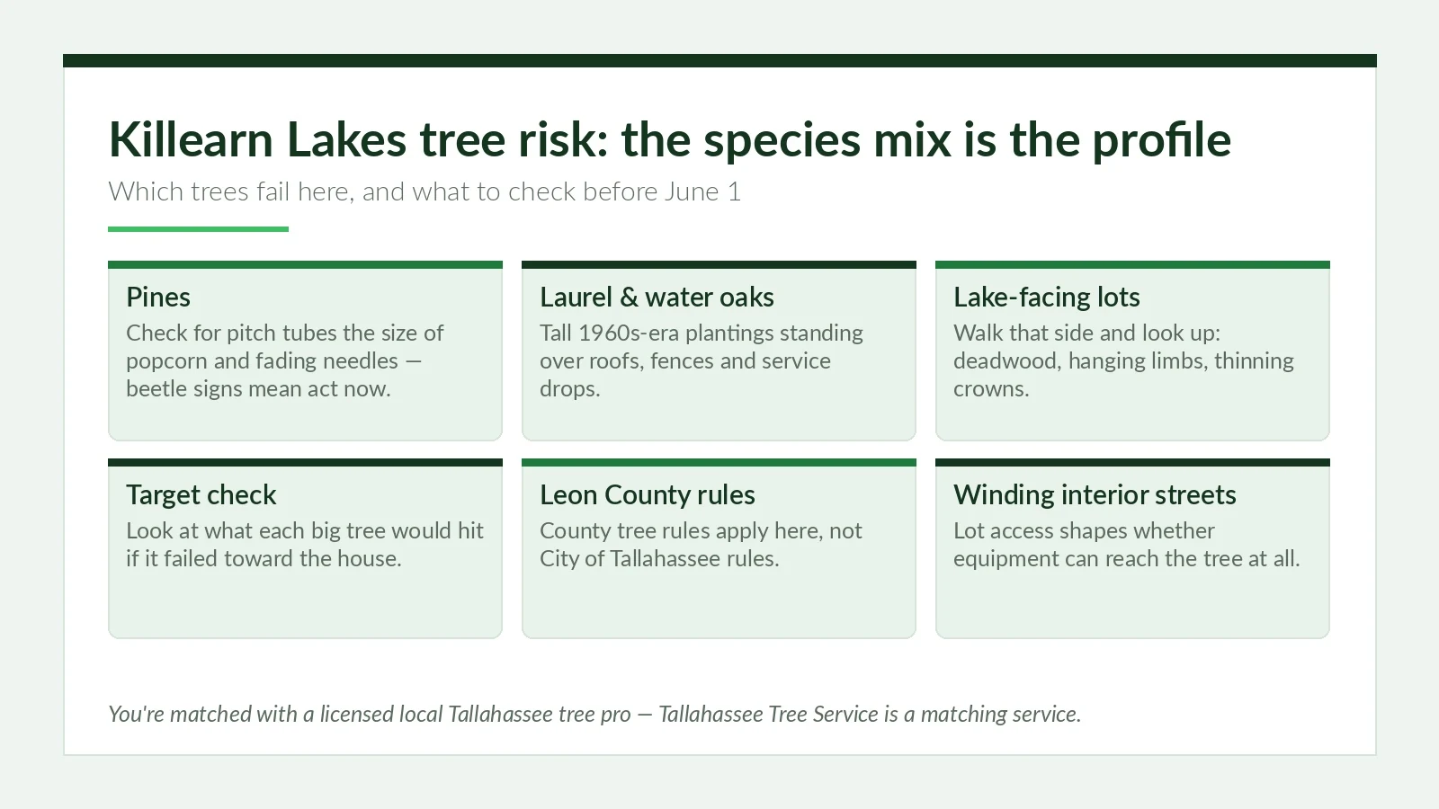 Tree Service in Killearn Lakes, Tallahassee — Storm-Tested Local Pros - Tallahassee Tree Service Killearn Lakes Tallahassee tree risk profile chart showing pine beetle signs, laurel and water oak targets, and Leon County permit jurisdiction