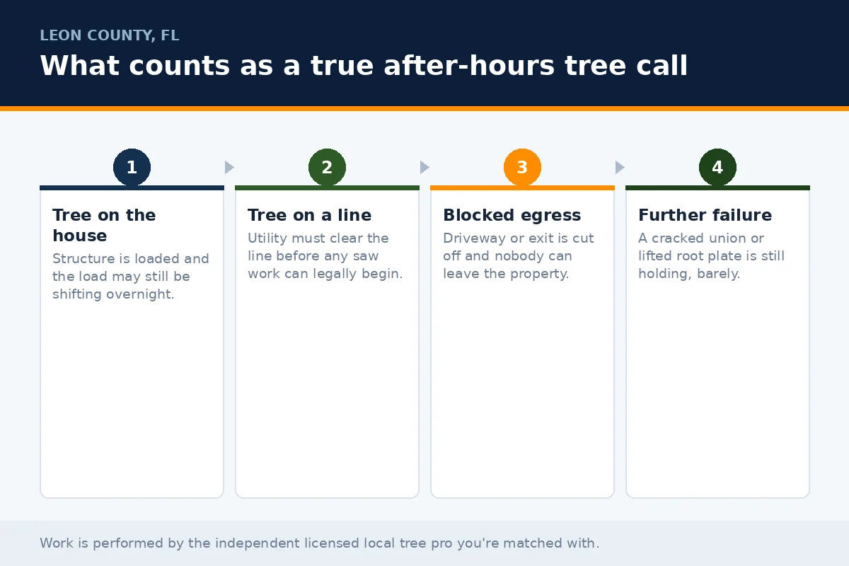 24 Hour Tree Service Tallahassee - Tallahassee Tree Service Four-stage triage panel defining a true 24-hour tree emergency in Leon County FL: tree on the house, tree on a line, blocked egress and imminent further failure
