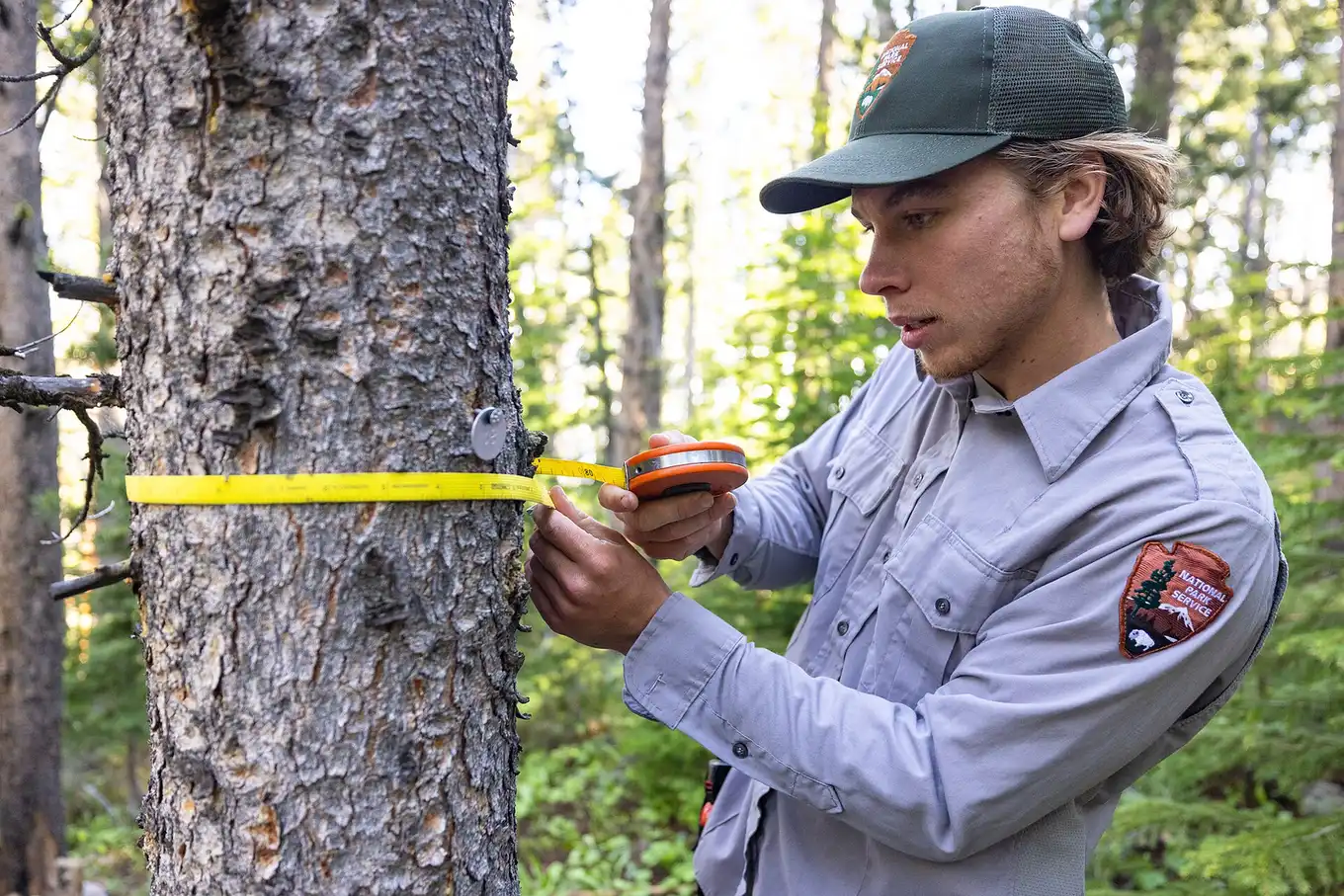 Arborist examining a mature trunk during a site walk, the consultation licensed local pros provide in Tallahassee, FL