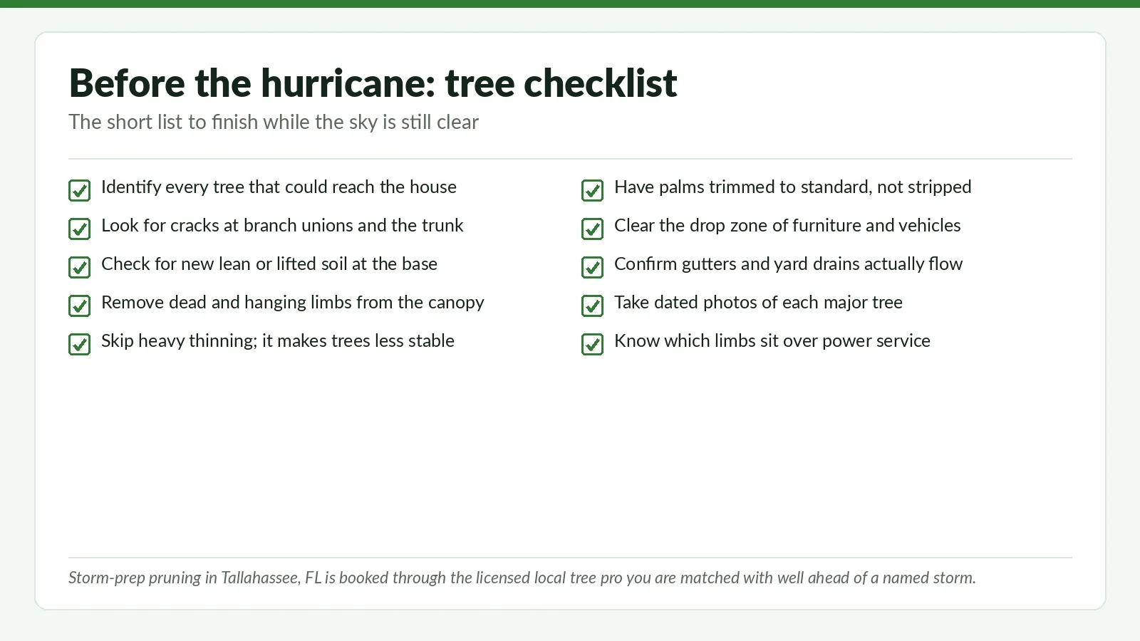 What To Do BEFORE The Hurricane Hits Your Tree — Tallahassee Homeowner Timeline - Tallahassee Tree Service Ten-point pre-hurricane tree checklist graphic for Tallahassee, FL homeowners to finish before a named storm enters the forecast
