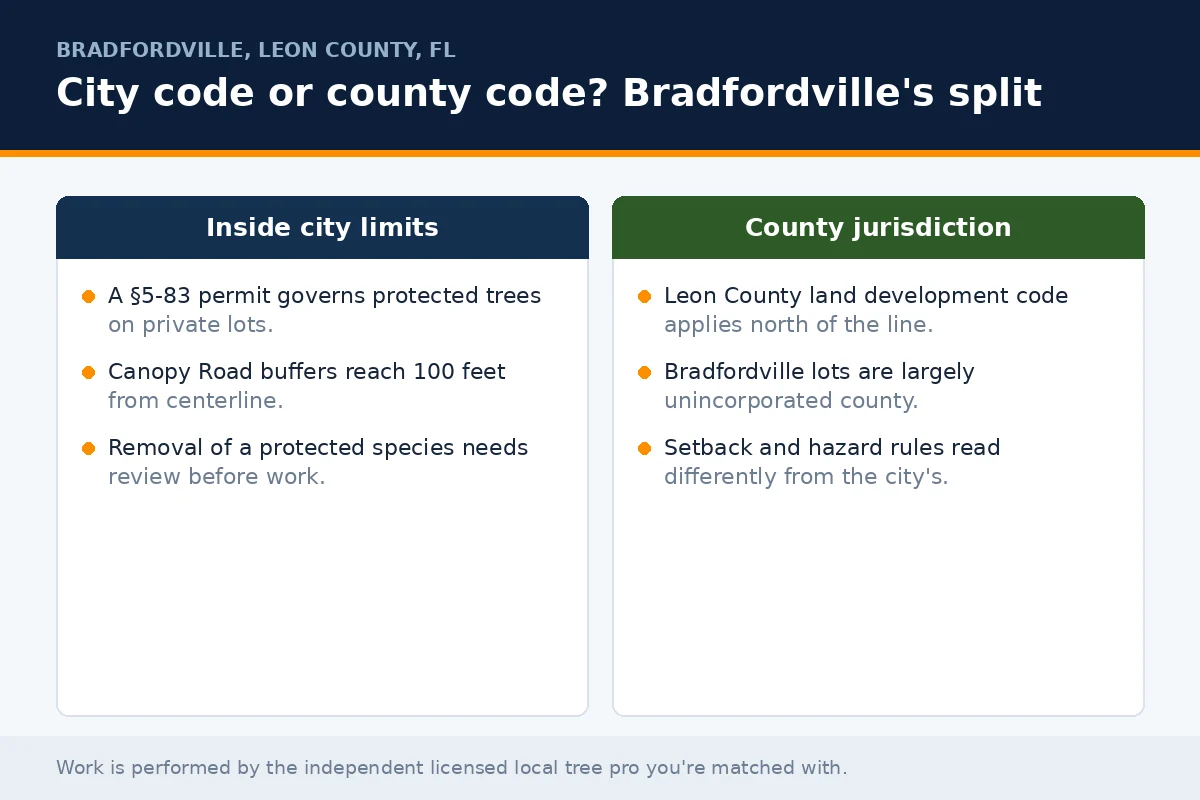 Tree Service in Bradfordville - Tallahassee Tree Service Side-by-side panel comparing City of Tallahassee and Leon County tree rules for Bradfordville, FL property owners, the permit layer the licensed local tree pro you're matched with checks before scheduling
