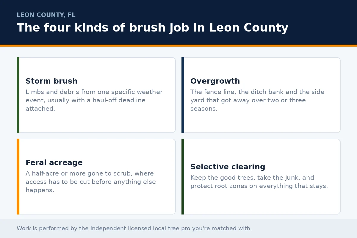 Brush Removal Tallahassee - Tallahassee Tree Service Four-cell panel classifying brush removal jobs in Leon County FL: storm brush, overgrowth, feral acreage and selective clearing, the scope the licensed local tree pro you're matched with confirms first