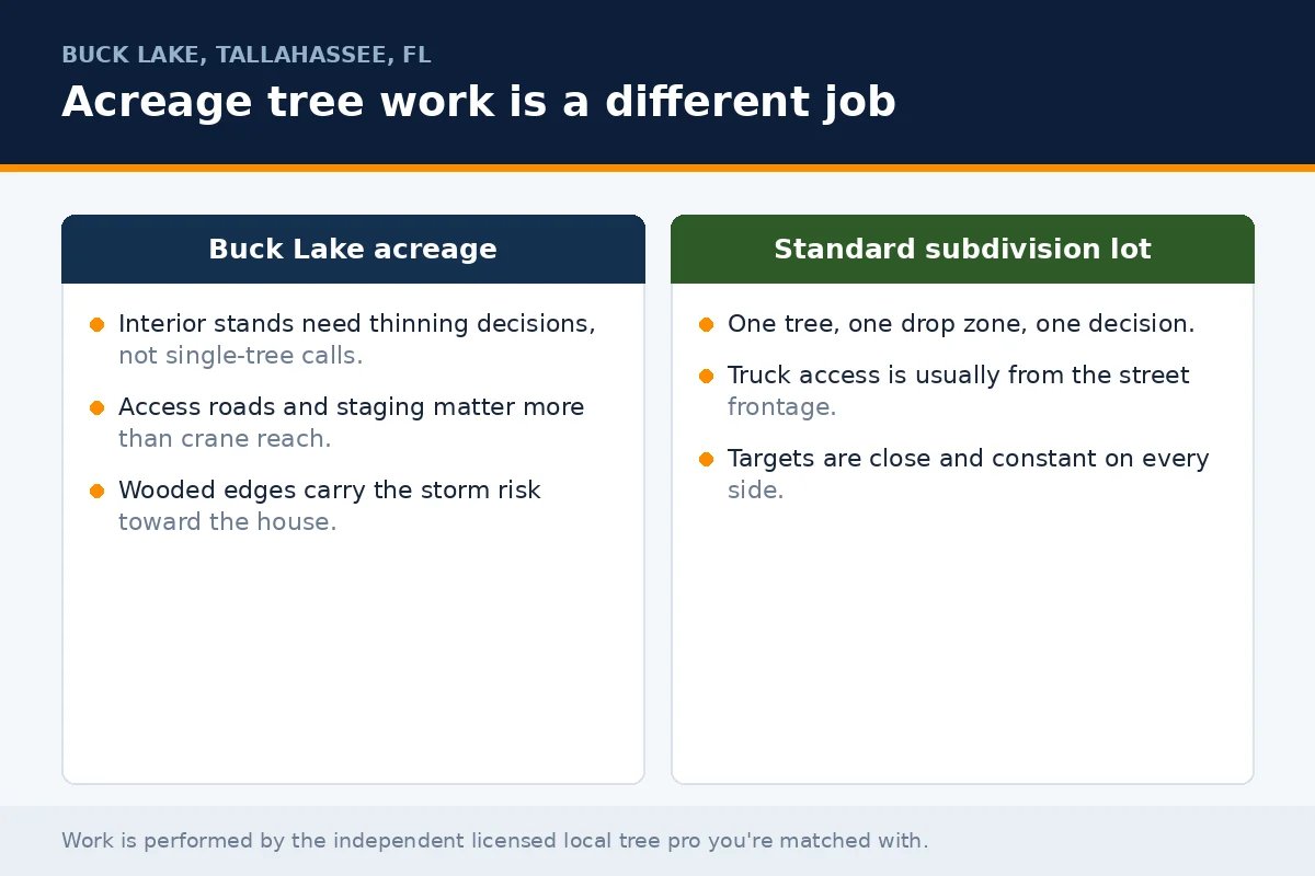 Comparison panel contrasting estate acreage tree management at Buck Lake in Tallahassee FL with standard subdivision lot work, covering thinning, access and storm risk