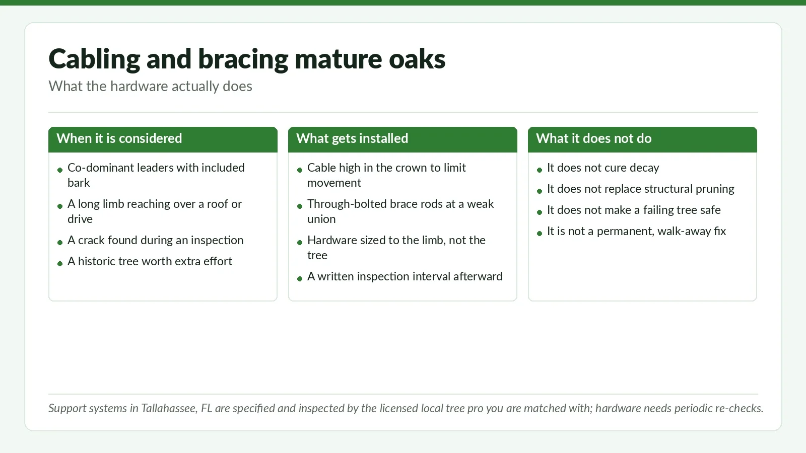 Three-panel reference chart on cabling and bracing mature Tallahassee, FL oaks: when support hardware is considered, what gets installed, and what it cannot fix