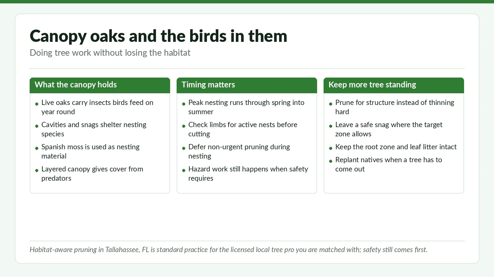 Three-panel reference chart on protecting bird habitat in Tallahassee, FL canopy oaks: what the canopy holds, why pruning timing matters, and how to keep more tree standing
