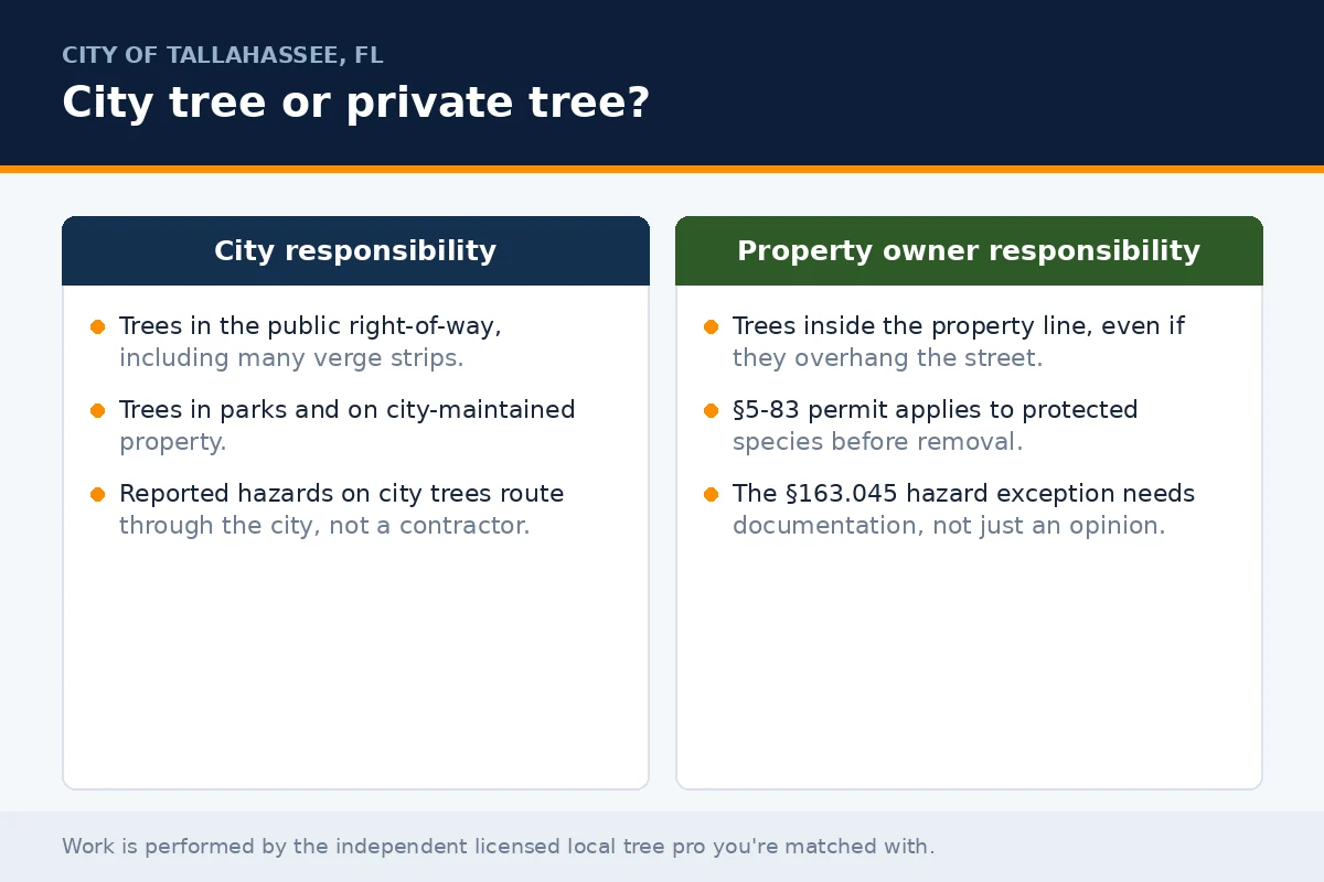 City of Tallahassee Tree Removal - Tallahassee Tree Service Comparison panel separating City of Tallahassee right-of-way trees from private property trees, including when a section 5-83 permit or the Florida hazard exception applies