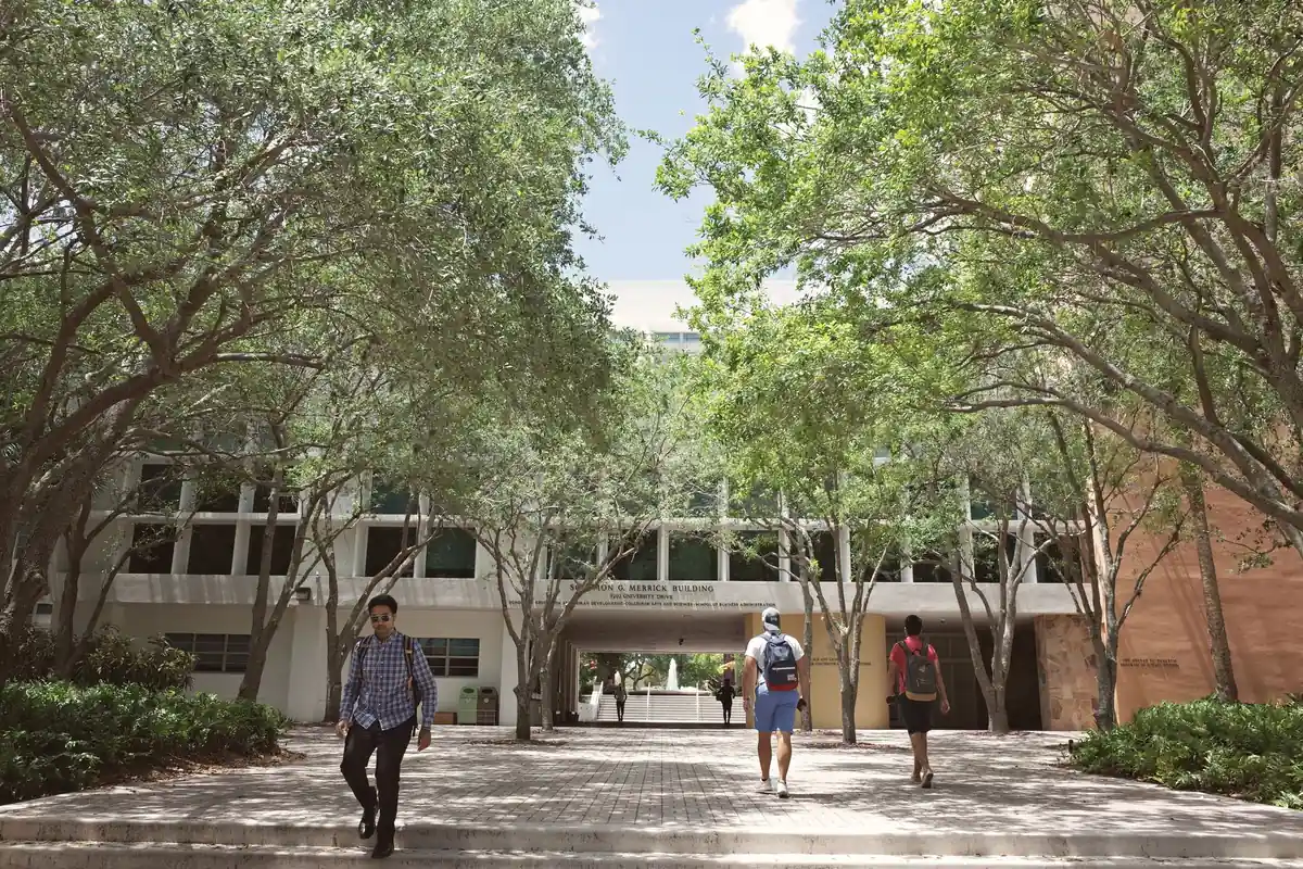 Students walking a sunlit tree-lined campus-district street, the dense urban canopy tree crews work around in College Town, Tallahassee