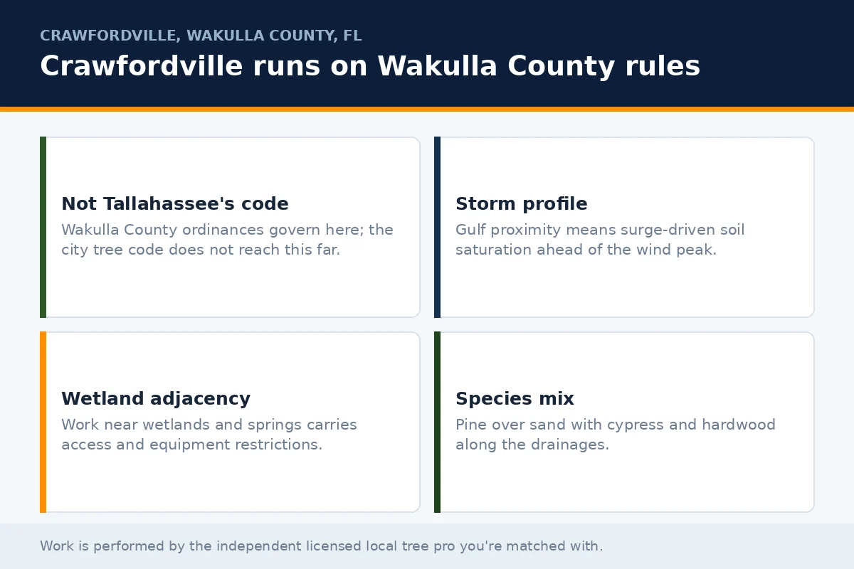 Four-cell panel covering Wakulla County tree rules, Gulf storm profile, wetland restrictions and species mix for Crawfordville FL property owners