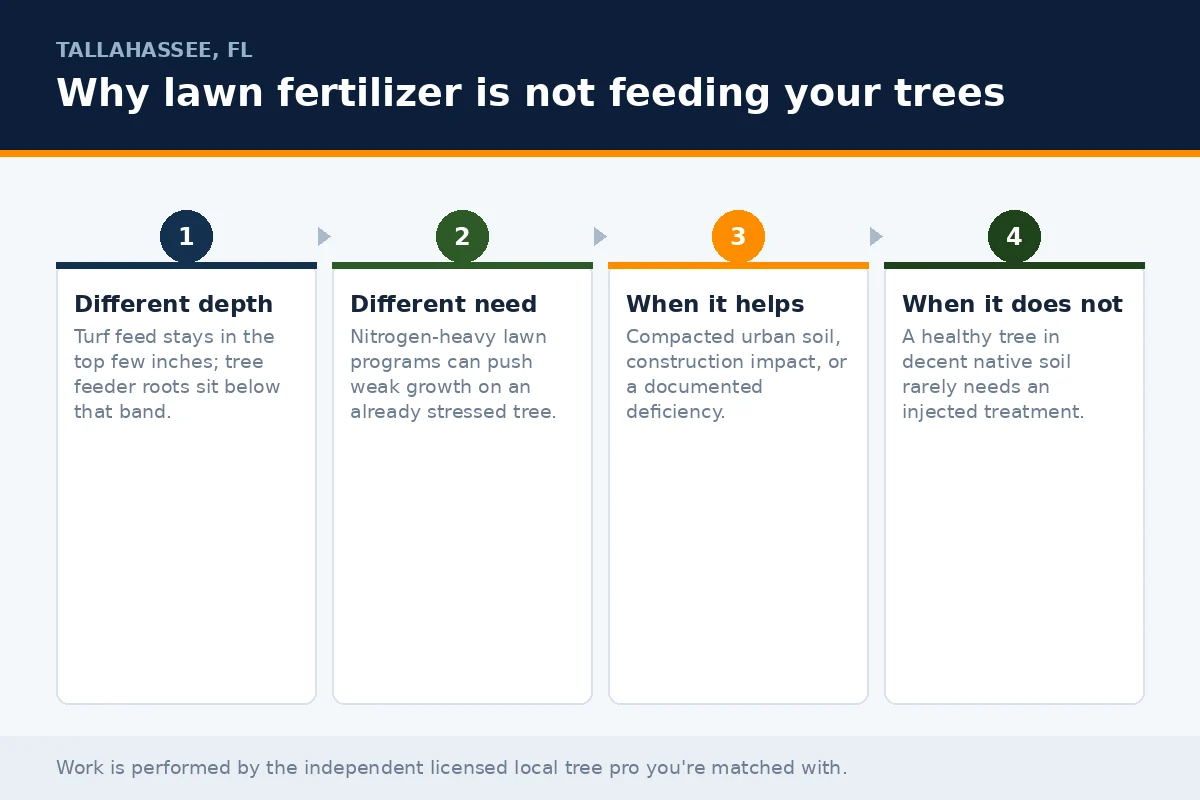 Four-stage panel explaining why lawn fertilizer misses tree feeder roots in Tallahassee FL and when deep root fertilization is and is not warranted
