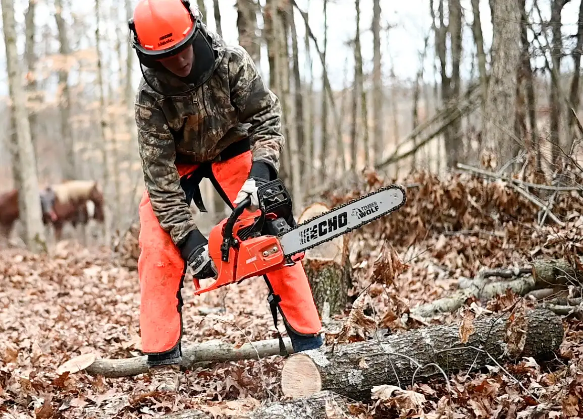 DIY Tree Removal — When It's Safe vs When to Call an Arborist - Tallahassee Tree Service Chainsaw operator in full protective gear cutting timber, the equipment a licensed local tree pro brings in Tallahassee, FL