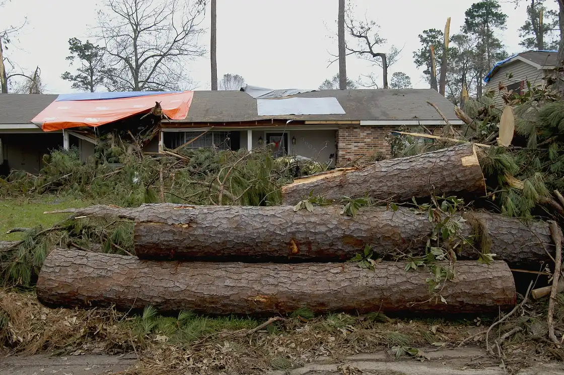 Storm-felled tree cut into sections beside a home, the after-hours work an emergency removal covers in Tallahassee, FL