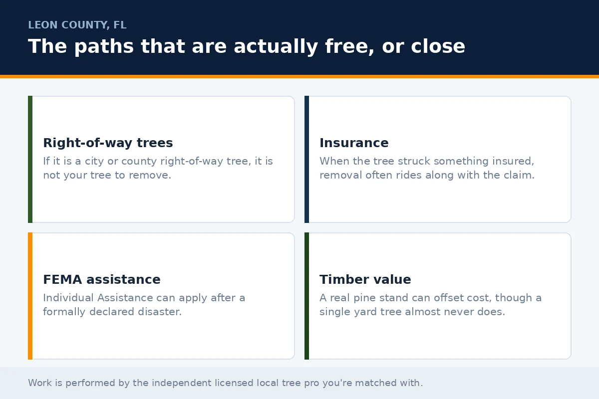 Free Tree Removal Tallahassee - Tallahassee Tree Service Four-cell panel outlining the genuinely low-cost routes to tree removal in Leon County FL: right-of-way trees, insurance claims, FEMA assistance and timber value