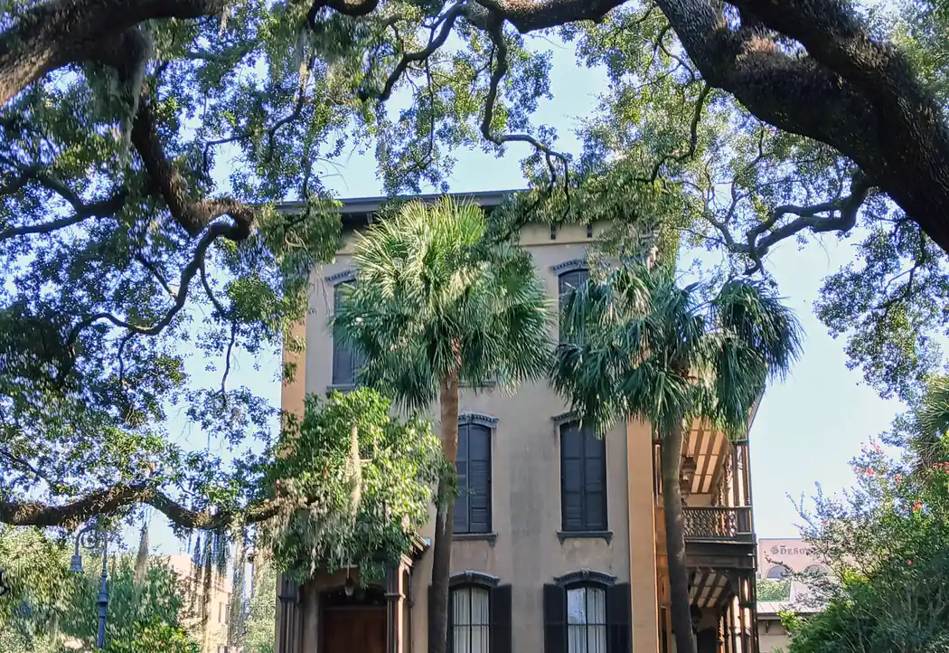 Frenchtown Tree Service Tallahassee — Heritage Oak Specialists - Tallahassee Tree Service Historic Southern building framed by dense green canopy, echoing the older tree-lined blocks of Frenchtown in Tallahassee