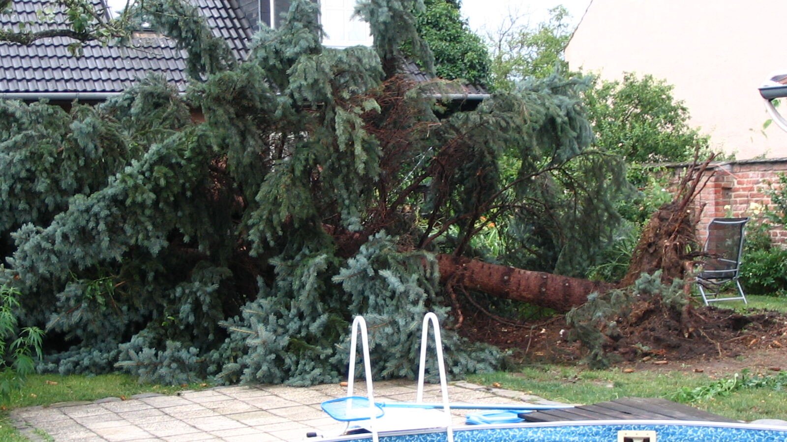 Emergency Tree Removal Crawfordville FL - Tallahassee Tree Service Storm-felled pine being sectioned for emergency removal, the after-hours work dispatched to licensed crews in Crawfordville, FL
