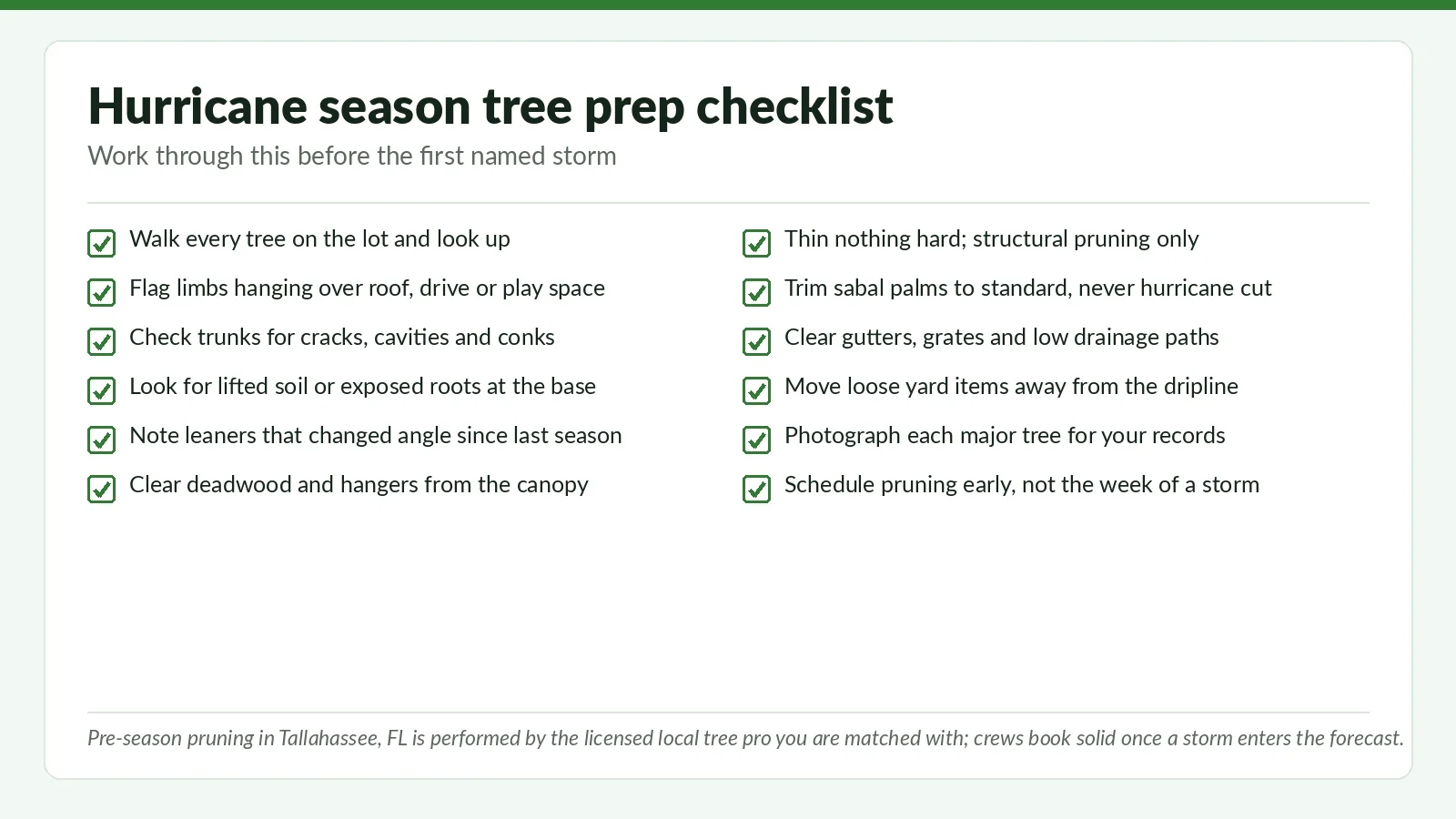 Twelve-point hurricane season tree prep checklist graphic for Tallahassee, FL homeowners, covering canopy, trunk, root flare and drainage