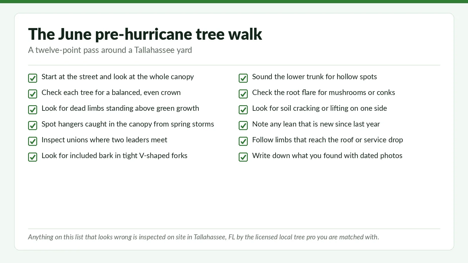 June Pre-Hurricane Tree Walk: 12-Point Tallahassee Homeowner Checklist - Tallahassee Tree Service Twelve-point June tree walk checklist graphic for Tallahassee, FL homeowners, from canopy balance to root flare and new lean