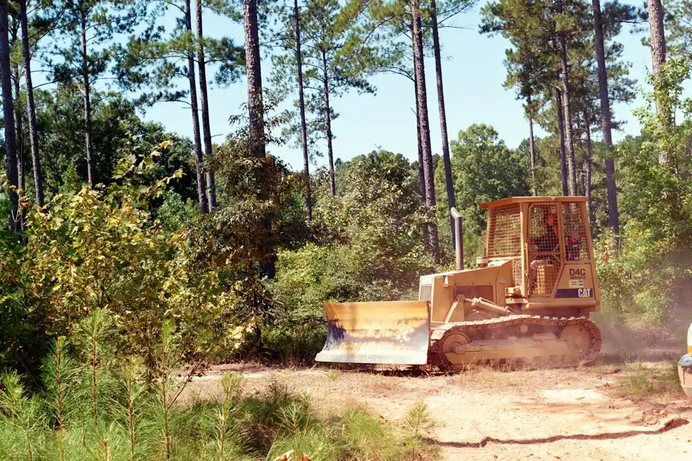 Land Clearing Tallahassee - Tallahassee Tree Service Wooded lot being cleared for construction in Tallahassee, FL
