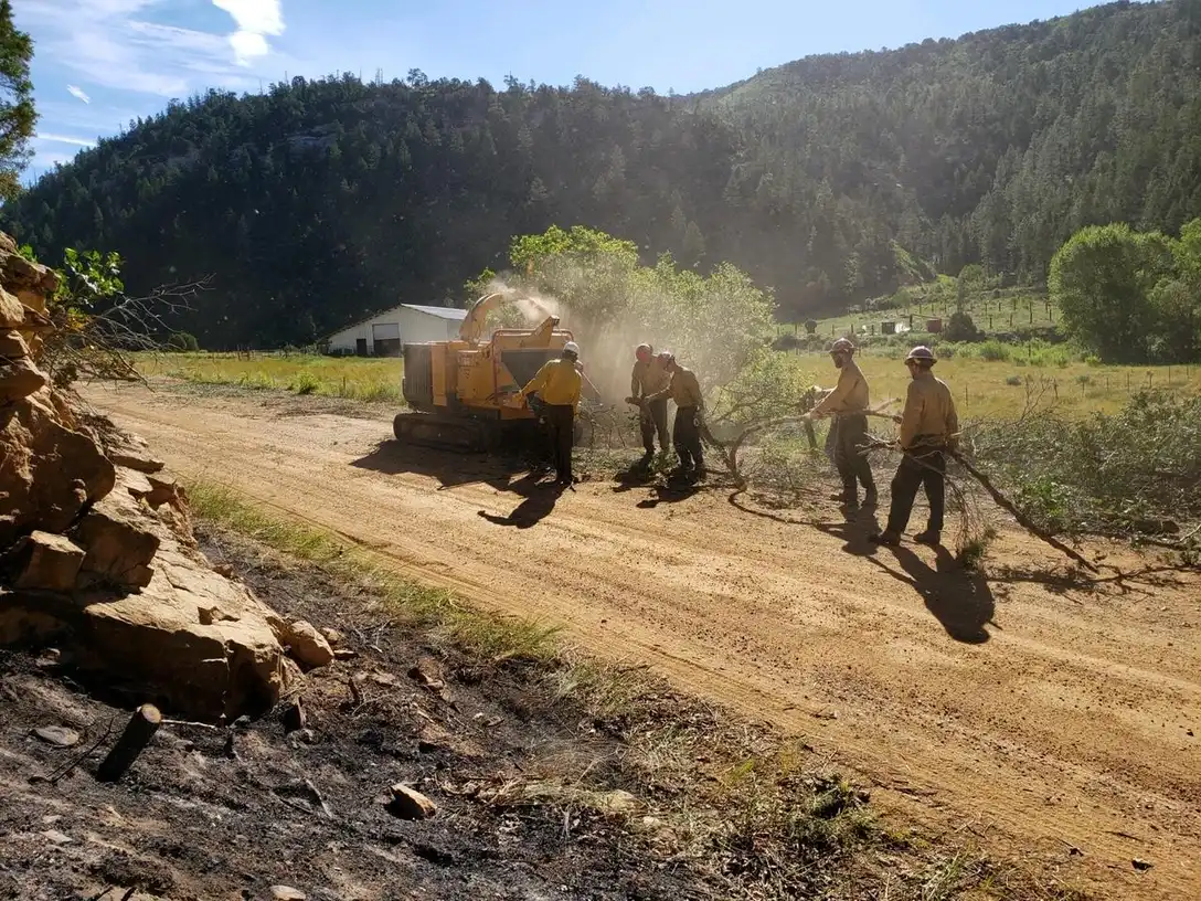 Heavy equipment clearing brush and small timber from a lot, the kind of land clearing dispatched in Wakulla County, FL