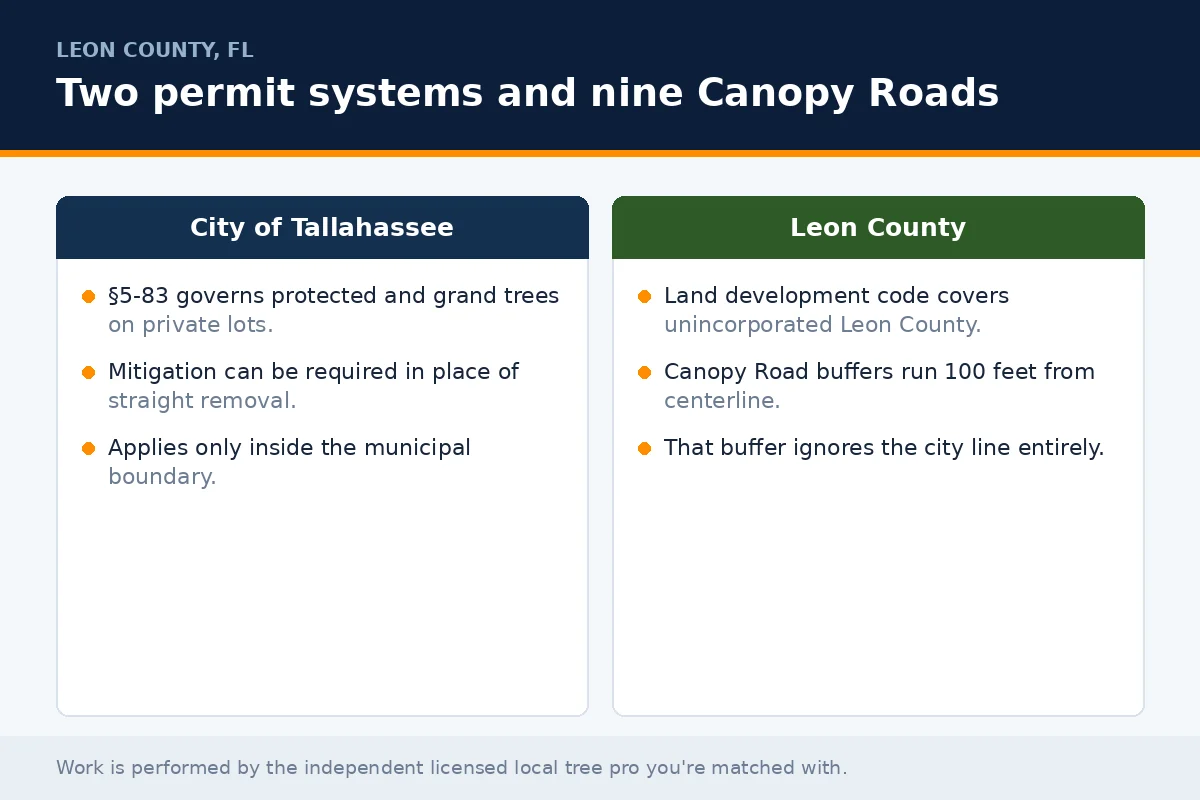 Comparison panel of the City of Tallahassee and Leon County tree permit systems and the nine Canopy Roads 100-foot buffer that crosses both jurisdictions