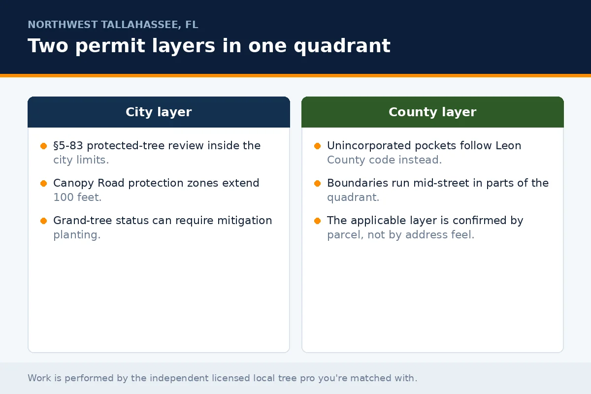 Tree Service in Northwest Tallahassee - Tallahassee Tree Service Panel comparing the City of Tallahassee and Leon County permit layers that both apply across Northwest Tallahassee FL, the check the licensed local tree pro you're matched with makes before scheduling