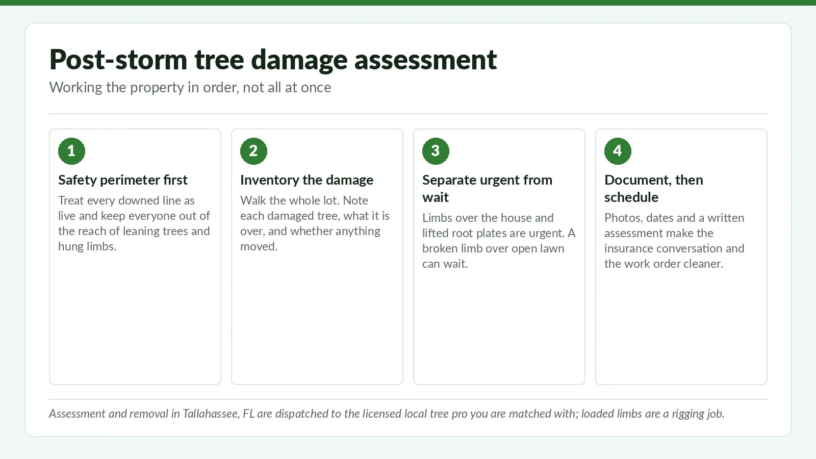 Post-Storm Tree Damage Assessment in Tallahassee: First-Week Walkthrough - Tallahassee Tree Service Four-step reference graphic on post-storm tree damage assessment in Tallahassee, FL: set a safety perimeter, inventory damage, triage urgency, then document and schedule