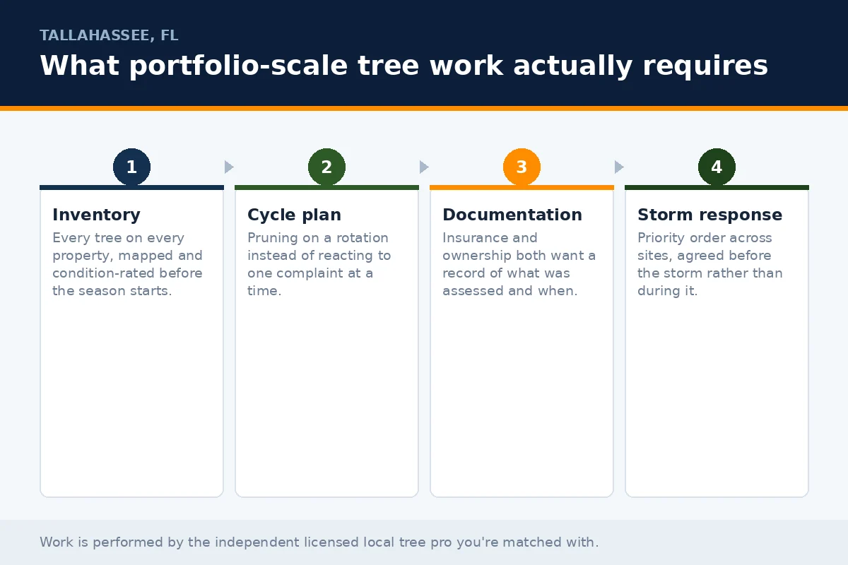 Property Management Tree Service Tallahassee - Tallahassee Tree Service Four-stage panel outlining portfolio-scale tree management for Tallahassee FL property managers: inventory, cycle planning, documentation and pre-agreed storm response