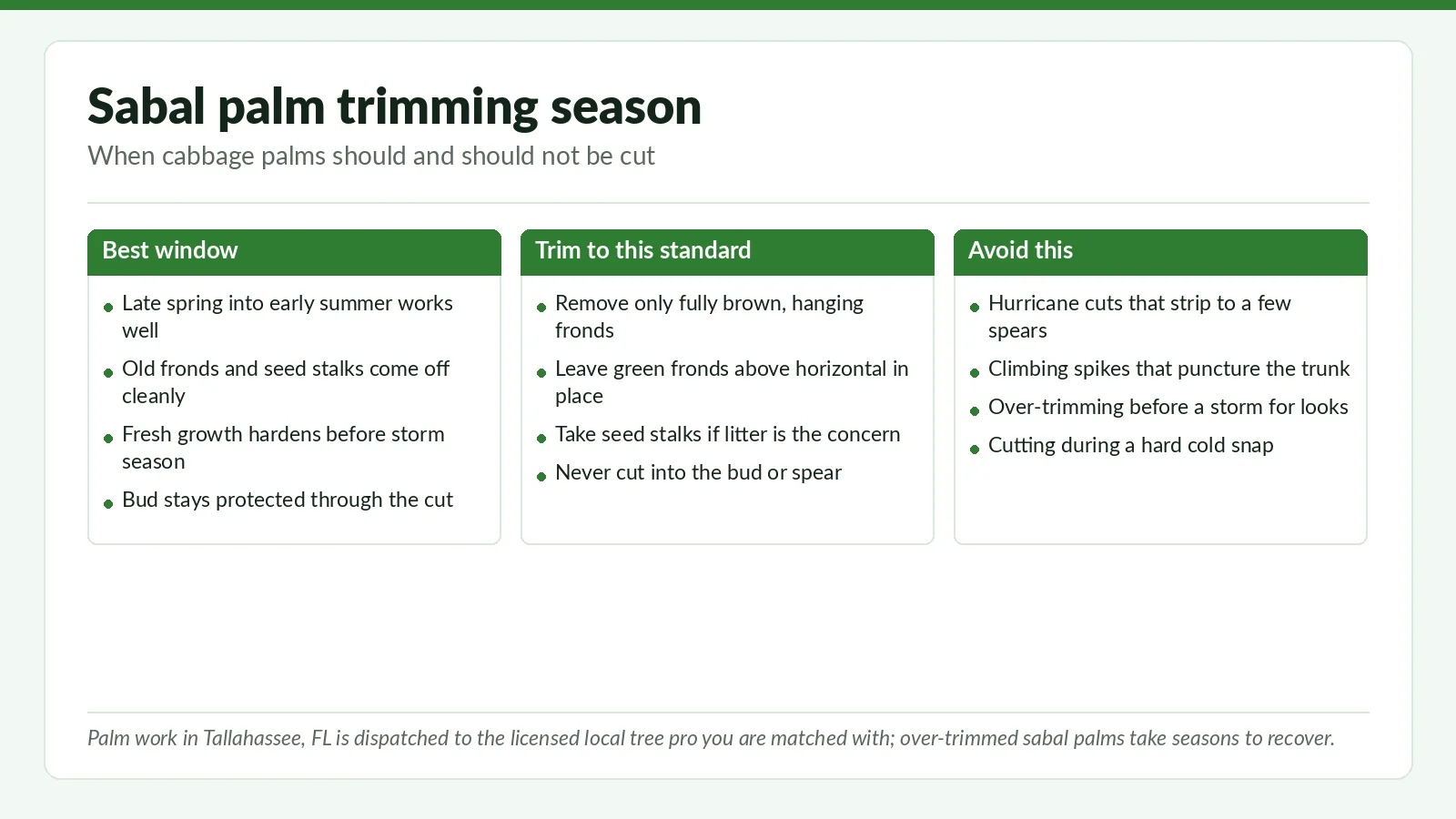 Sabal Palm Trimming Season in Tallahassee: When and How - Tallahassee Tree Service Three-panel reference chart on sabal palm trimming season in Tallahassee, FL: the best window, the trimming standard, and the over-trimming practices to avoid