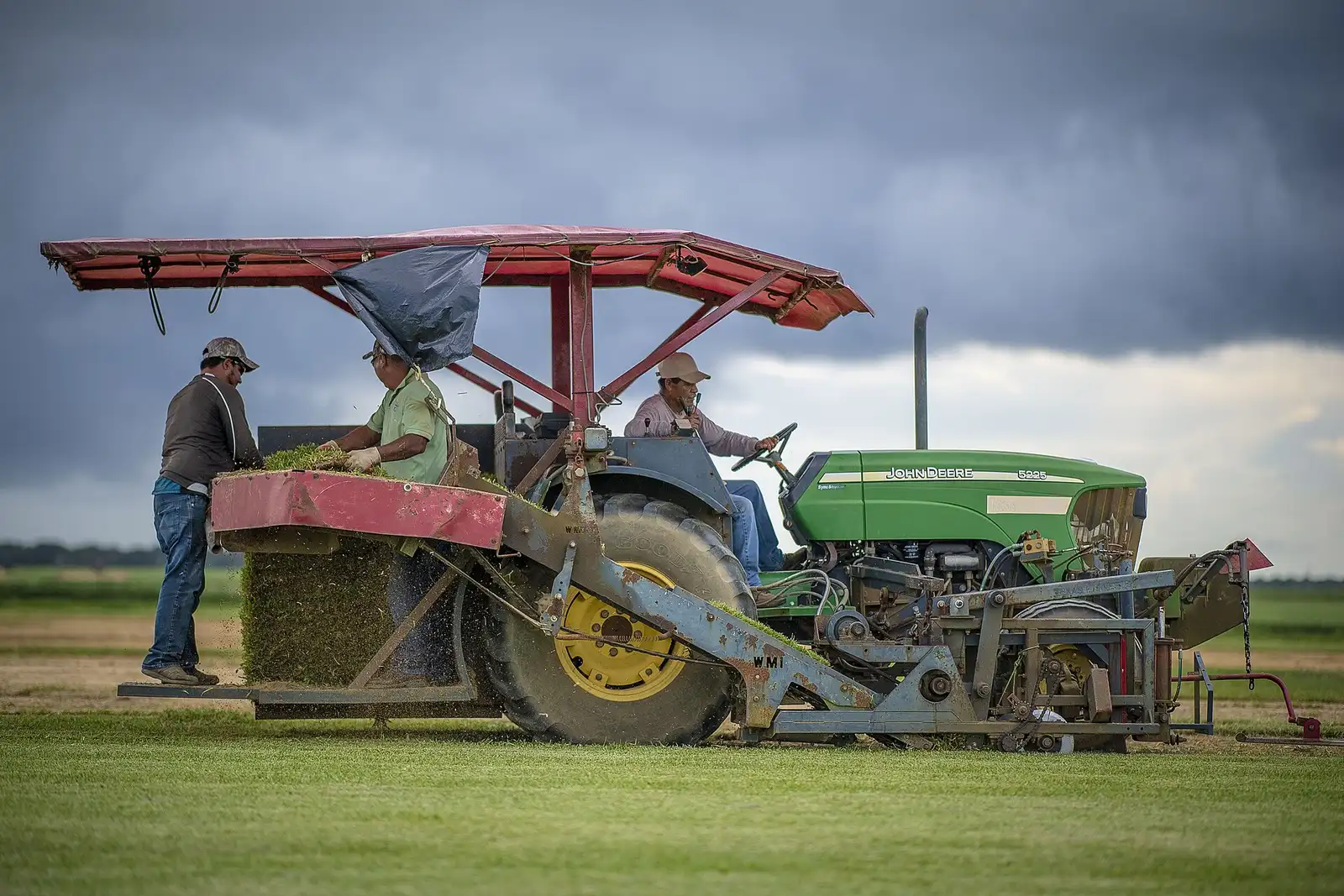 Picking the Right Sod & Turf for Tallahassee Yards After Tree Work - Tallahassee Tree Service Turf being harvested in rolls at a sod farm, the replacement grass laid after tree work near Tallahassee, FL
