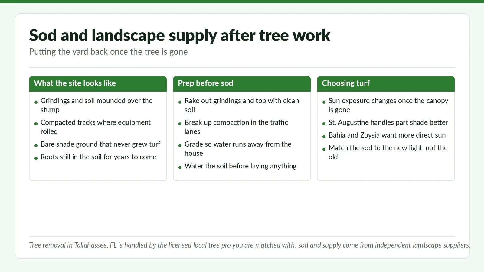 Three-panel reference chart on repairing a Tallahassee, FL yard after tree removal: site condition, soil prep, and choosing turf for the new light