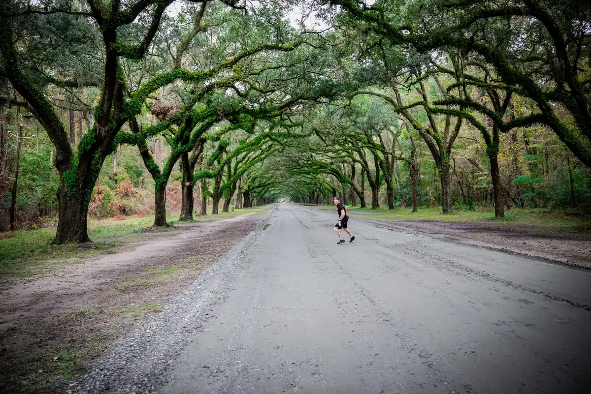 Runner passing beneath a long oak canopy over a quiet road, like the planned canopy boulevards tree crews maintain in SouthWood, Tallahassee