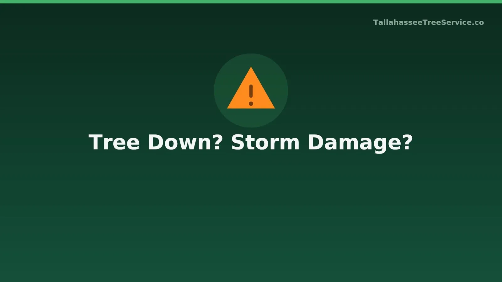 Storm-leaning tree in Tallahassee showing directional wind damage after a hurricane