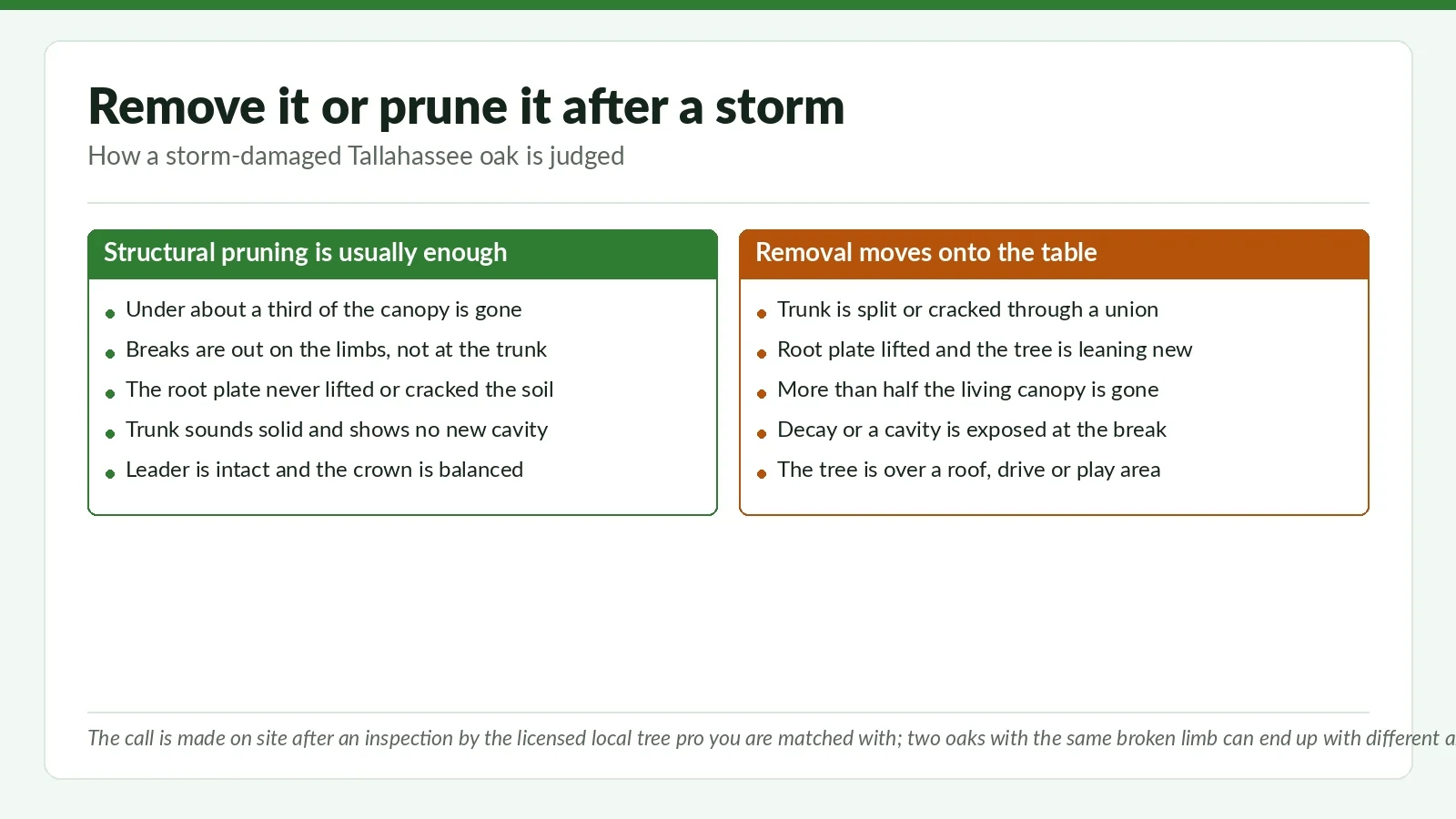 How to Tell If a Storm-Damaged Tallahassee Oak Needs Removal or Just Structural Pruning - Tallahassee Tree Service Side-by-side reference chart comparing when a storm-damaged Tallahassee, FL oak can be structurally pruned versus when removal moves onto the table