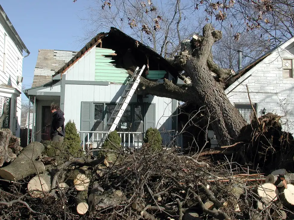 Tree collapsed against a house with debris piled at the foundation, the damage scene a Tallahassee, FL storm claim documents