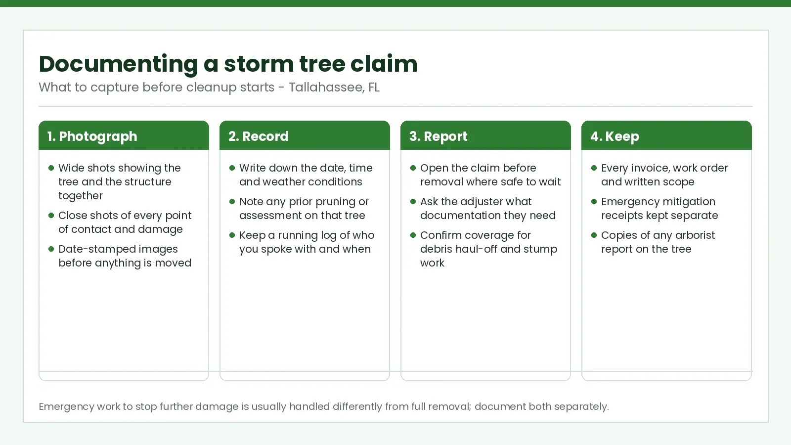 8 Insurance Company Tree-Removal Tricks (Tallahassee 2026) - Tallahassee Tree Service Four-step guide to photographing, recording and reporting storm tree damage for an insurance claim in Tallahassee, FL